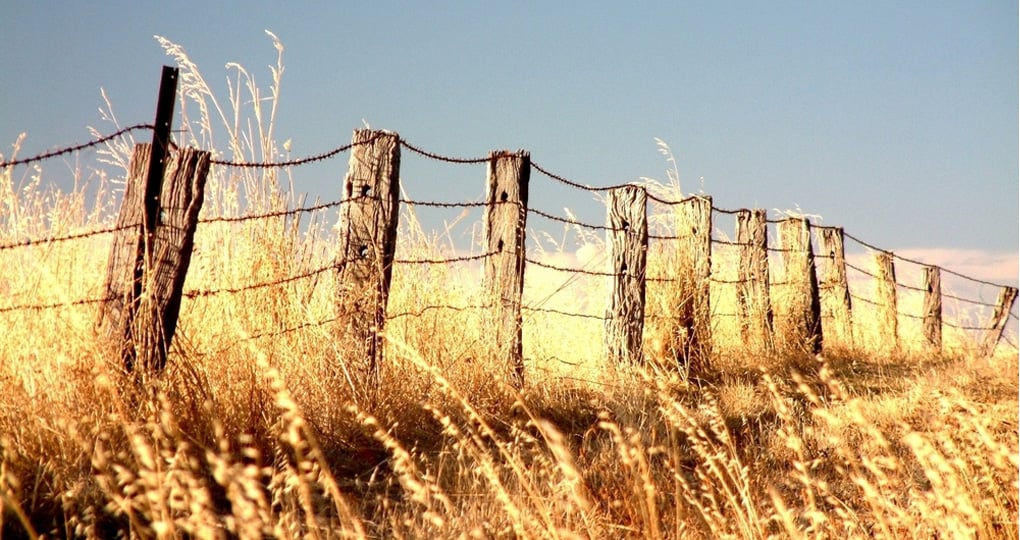Rural fencing in the outback Rural fencing in the outback