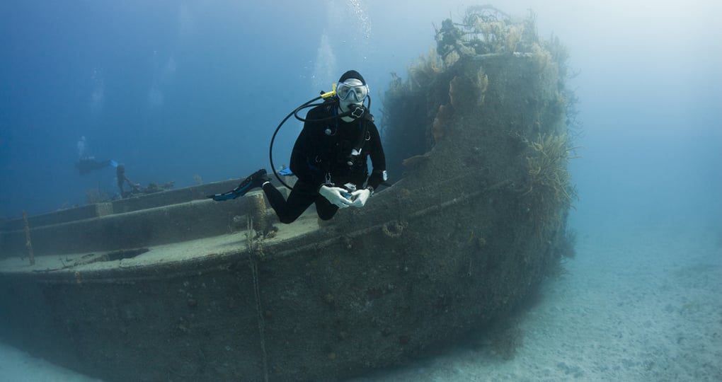 Diver over the Prince Albert wreck Diver over the Prince Albert wreck