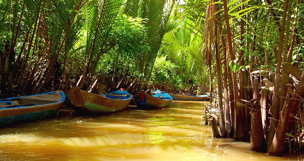 Mekong Delta has recently been dubbed a 'biological treasure trove" and is a great addition to your Vietnam vacation. Mekong Delta has recently been dubbed a 'biological treasure trove" and is a great addition to your Vietnam vacation.