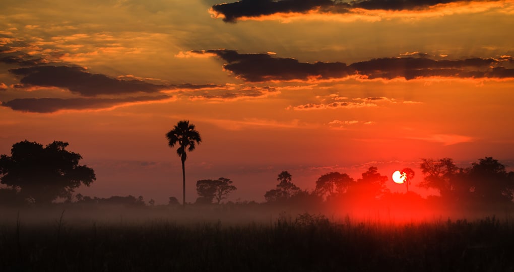Sunrise above the misty Delta grasslands is always a great photo opportunity on all Botswana safaris. Sunrise above the misty Delta grasslands is always a great photo opportunity on all Botswana safaris.