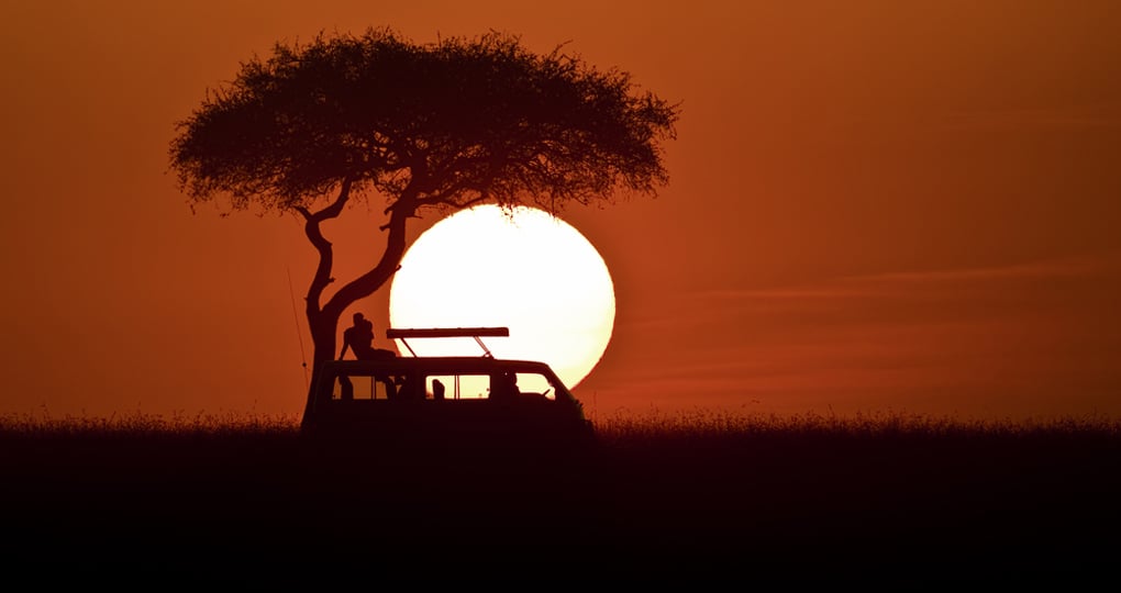 The sunsets in the Masai Mara are unforgettable. Dramatic lighting