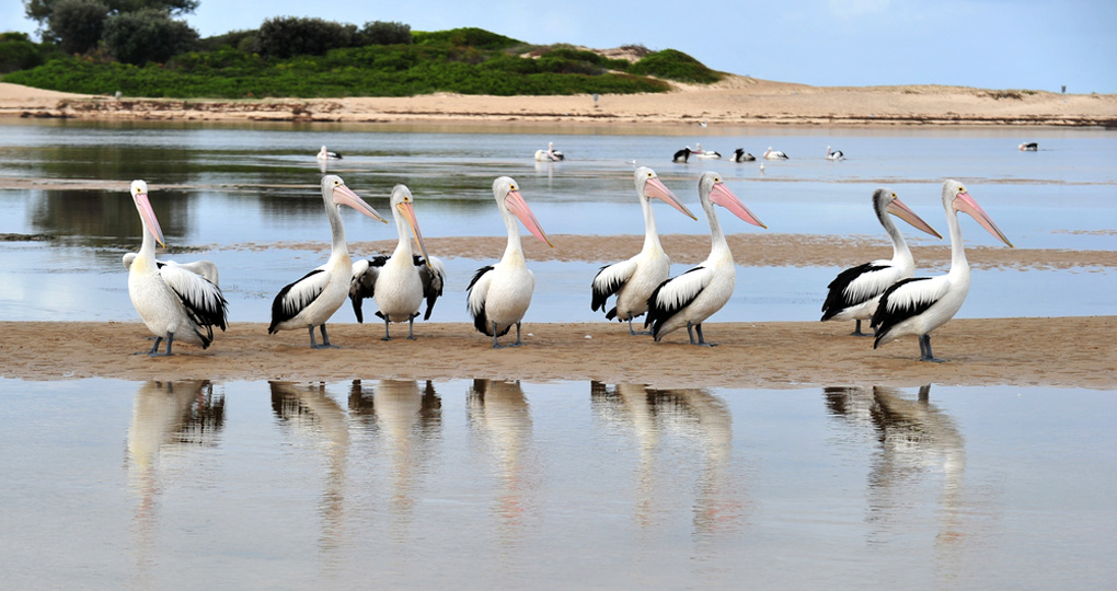 The Locals are Friendly The Locals are Friendly