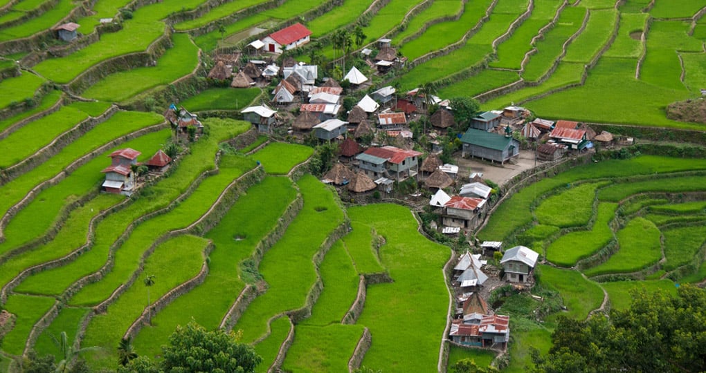 The World Heritage Rice Terraces in Batad are included as part of most clients Philippines vacation. The World Heritage Rice Terraces in Batad are included as part of most clients Philippines vacation.