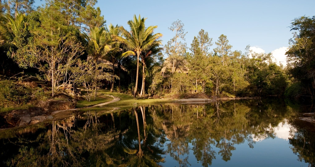 Mountain Pine Ridge National Park Vacations