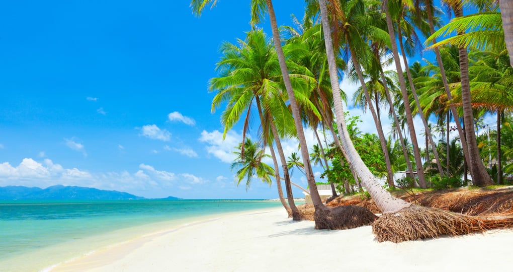 Koh Samui is Thailand's second largest island after Phuket and is a great inclusion for all Thailand tours. Koh Samui is Thailand's second largest island after Phuket and is a great inclusion for all Thailand tours.