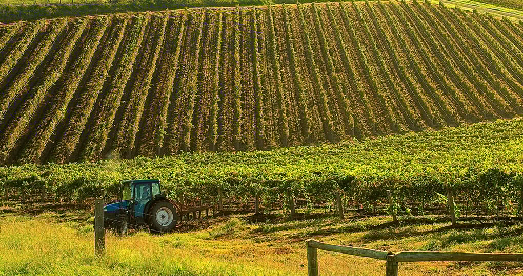Affectionately known as "Wine Country" - just 2 hours from Sydney Affectionately known as "Wine Country" - just 2 hours from Sydney