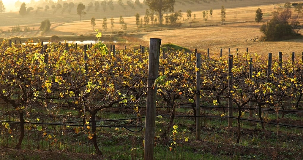 Spend your time sampling some of the world's finest wines Spend your time sampling some of the world's finest wines