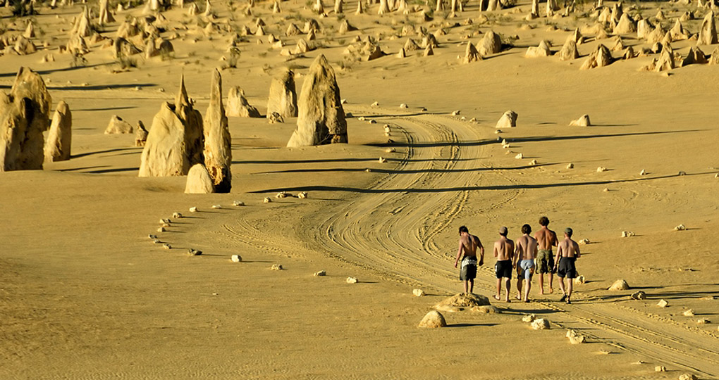 Walk the trail that includes an amazing lookout over the park Walk the trail that includes an amazing lookout over the park