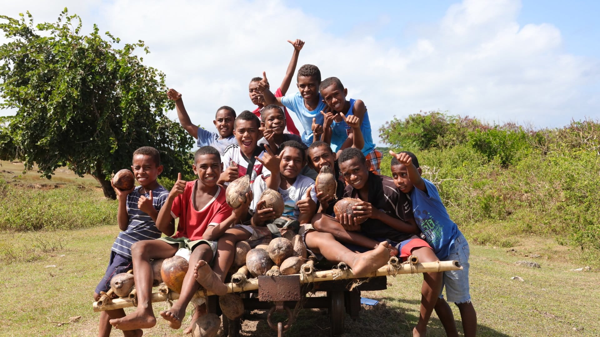 A group of joyful boys poses on a wooden cart, holding coconuts outdoors in a lush green setting.