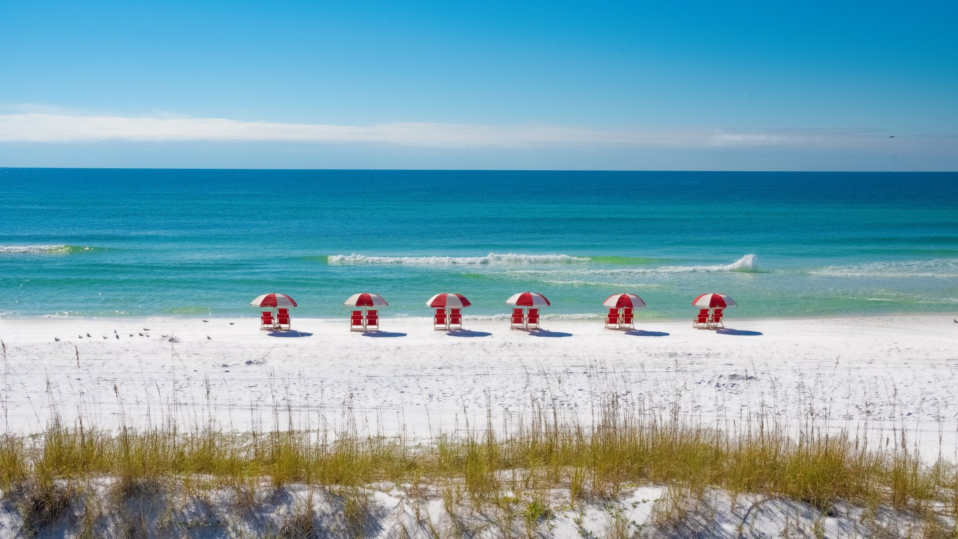 A row of chairs and umbrellas on a white sand beach.