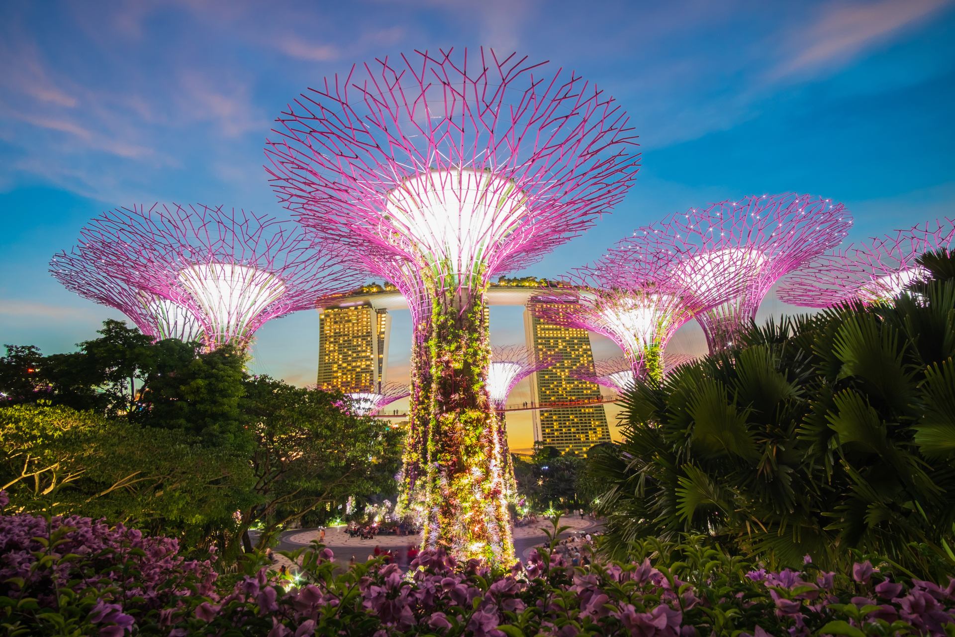 Lit up large vertical garden sculptures resembling towering trees, coined Supertree Grove
