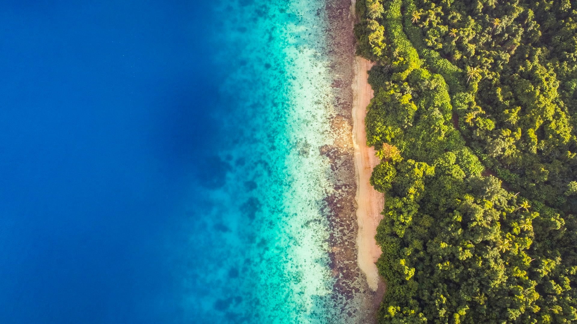 Aerial view of calm aqua marine blue water with tropical secluded beach