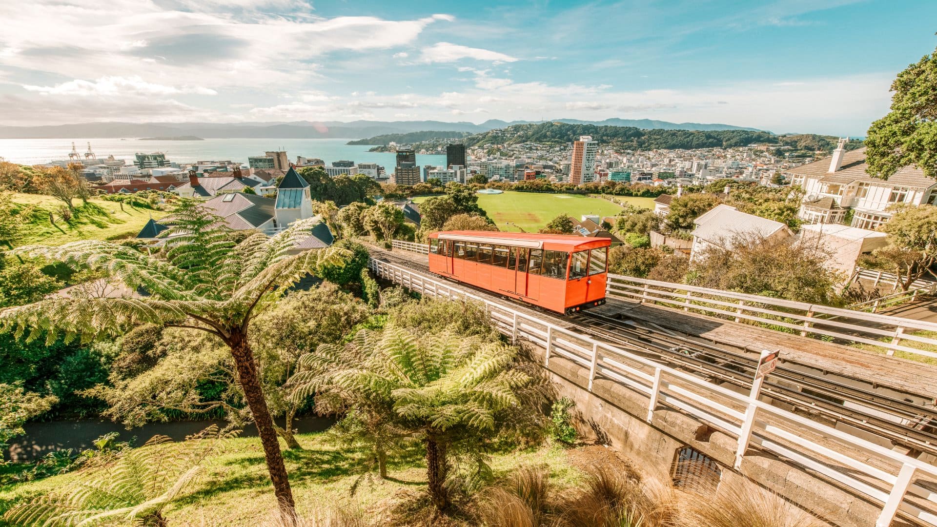 Aerial view over the city of Wellington, New Zealand, with a cable car climbing up the hill in the middle.
