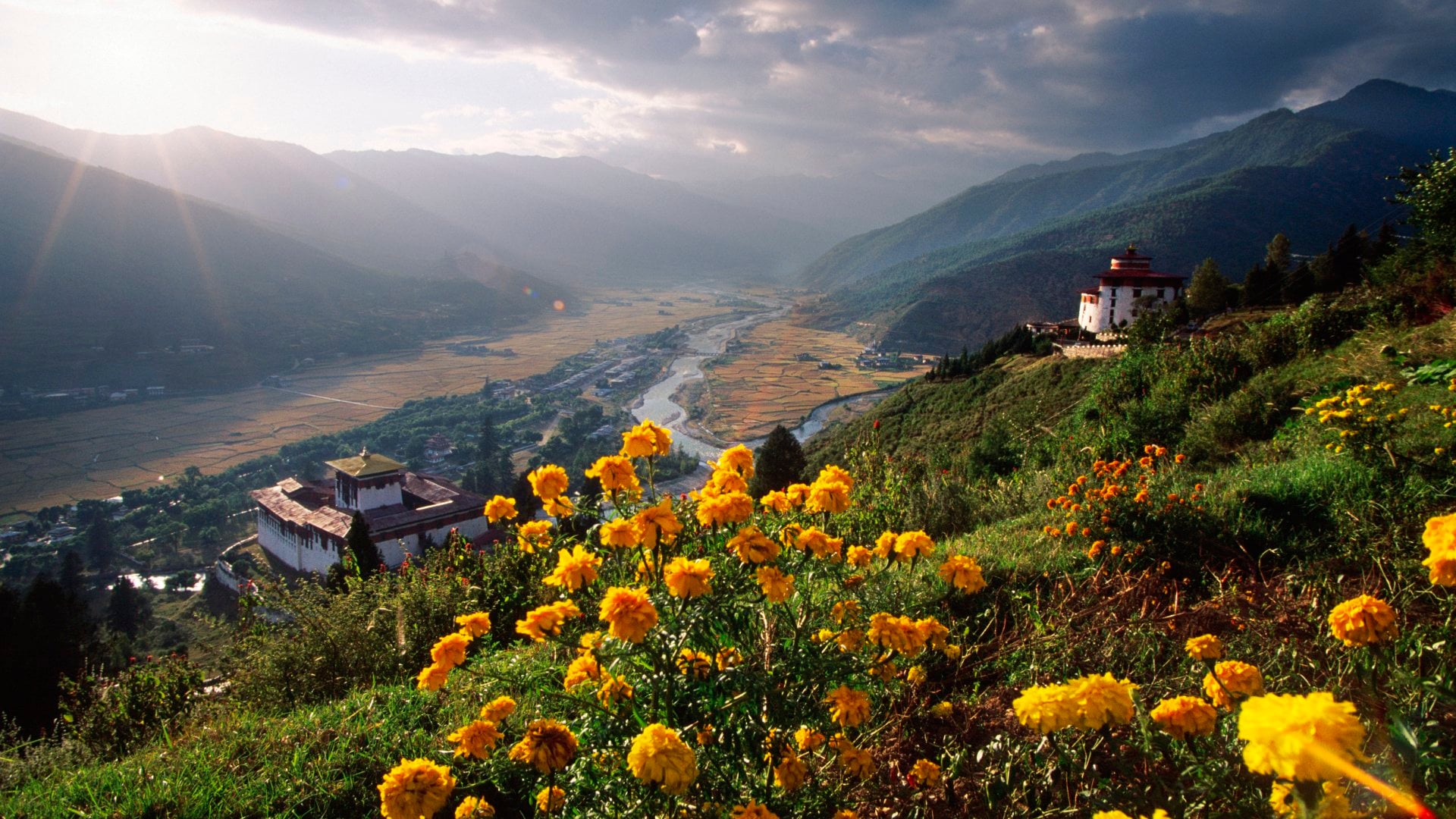 Dark clouds and yellow flowers in Paro Valley along the banks of the Paro Chhu River
