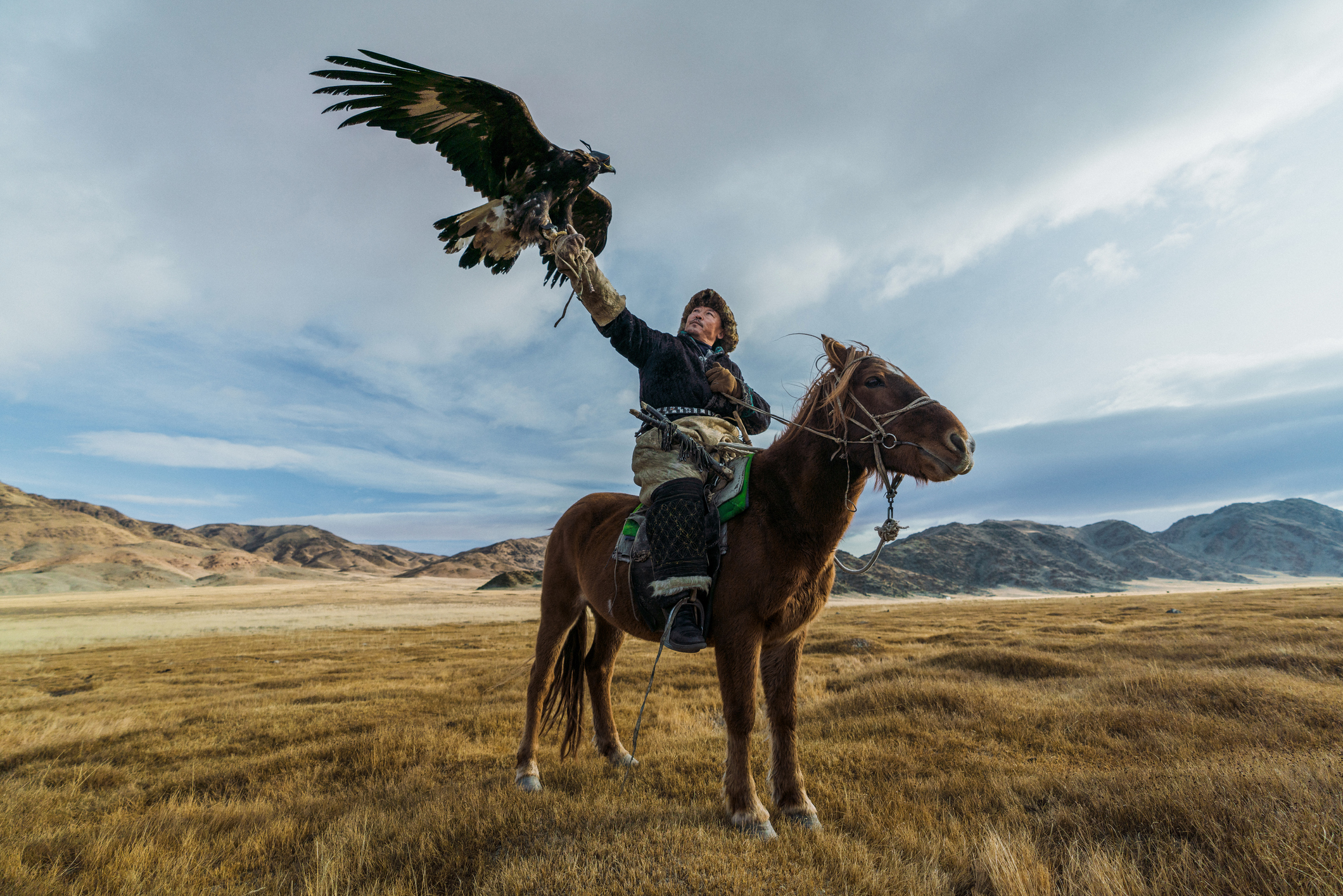Eagle Hunter, Mongolia Eagle Hunter, Mongolia