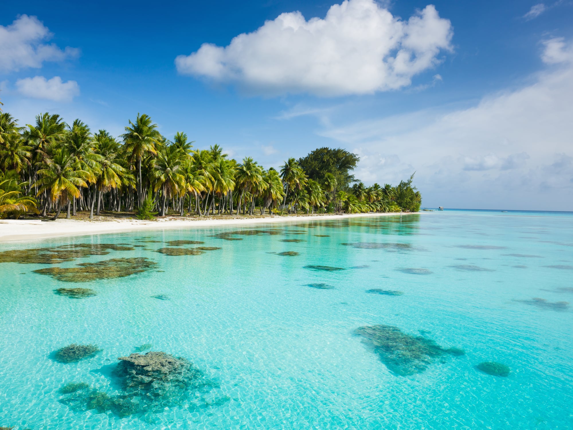 Fakarava French Polynesia