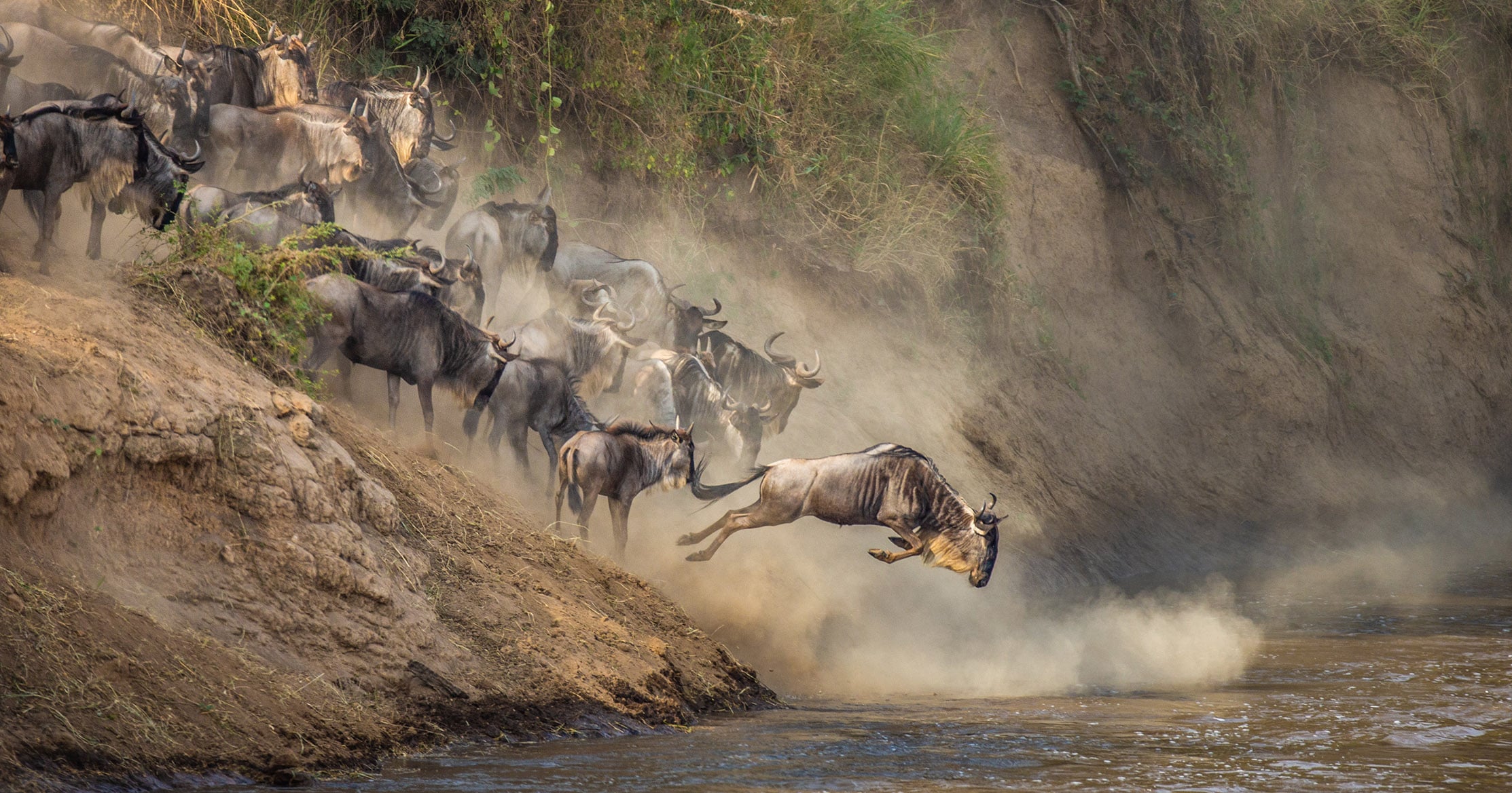 Great Migration, Tanzania