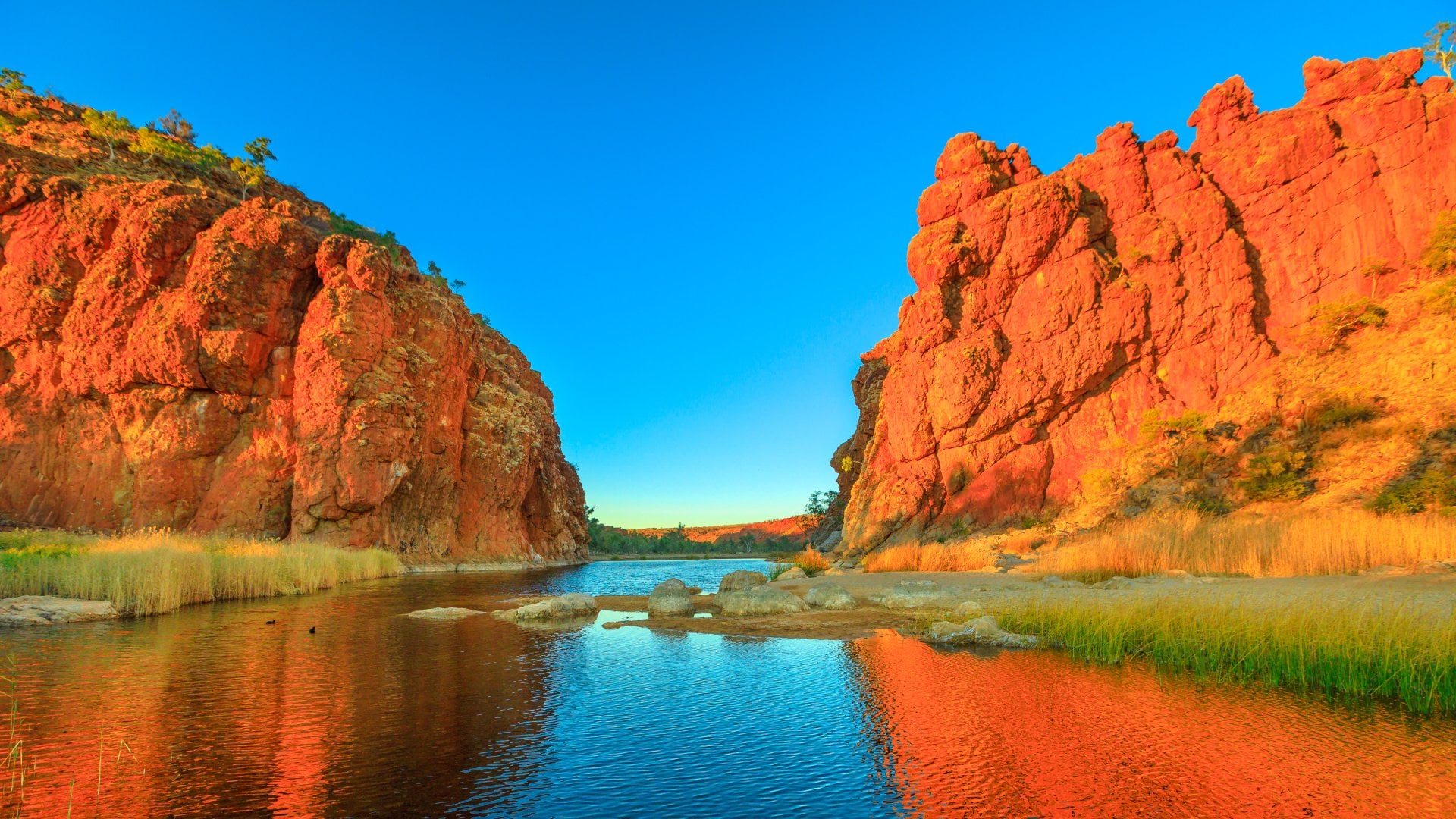 Scenic Glen Helen Gorge in West MacDonnell Ranges changes colours with sunrise light and reflects on waterhole in dry season at sunrise light.