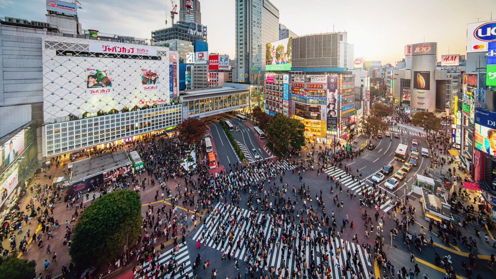 Shibuya Crossing in Downtown Tokyo from above, one of the busiest pedestrian crossings in the world