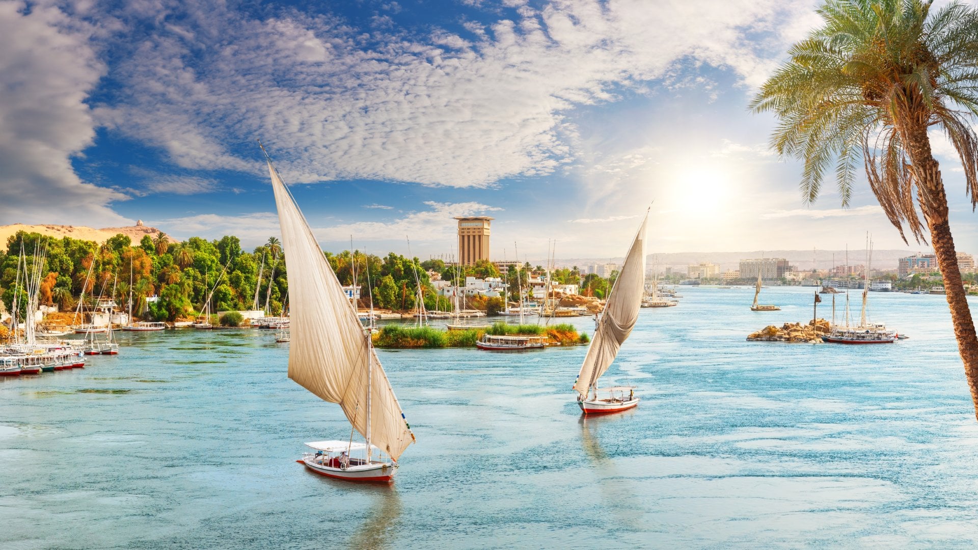 View of the Nile, feluccas and the palms, Aswan City, Egypt.