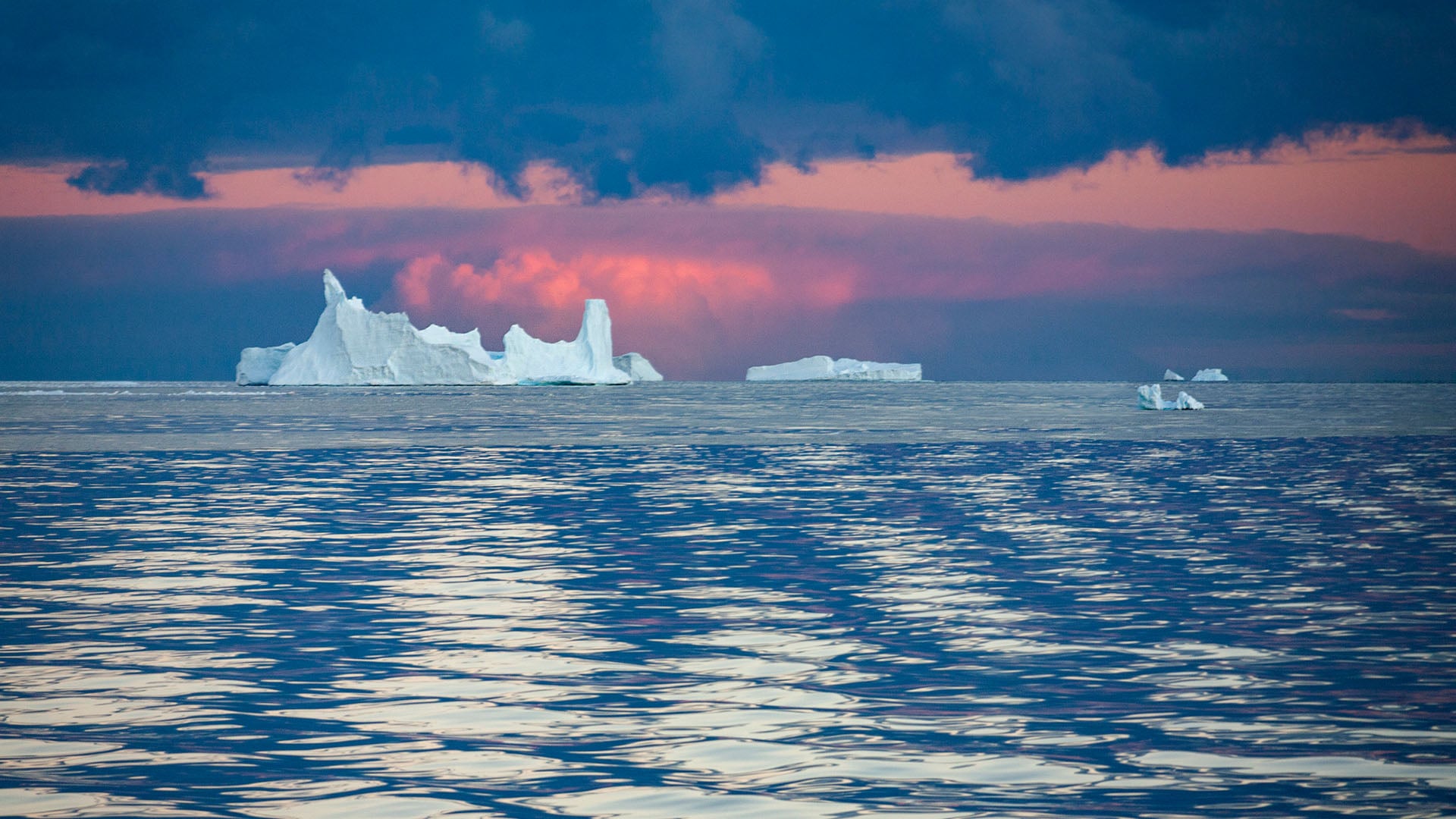 Icebergs in the Drake Passage against a pink sky