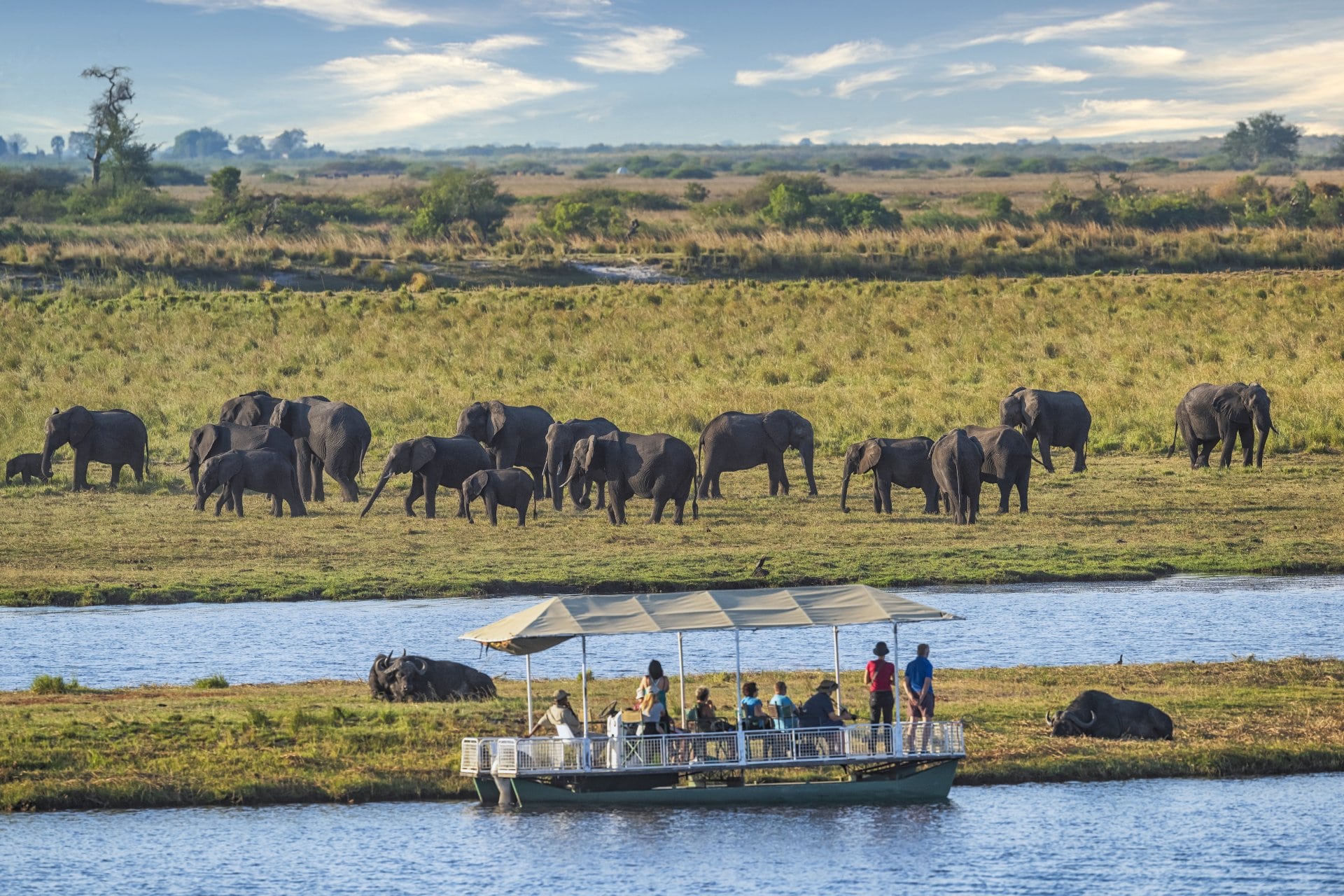 Safari tourists in a boat at watching a herd of Elephants