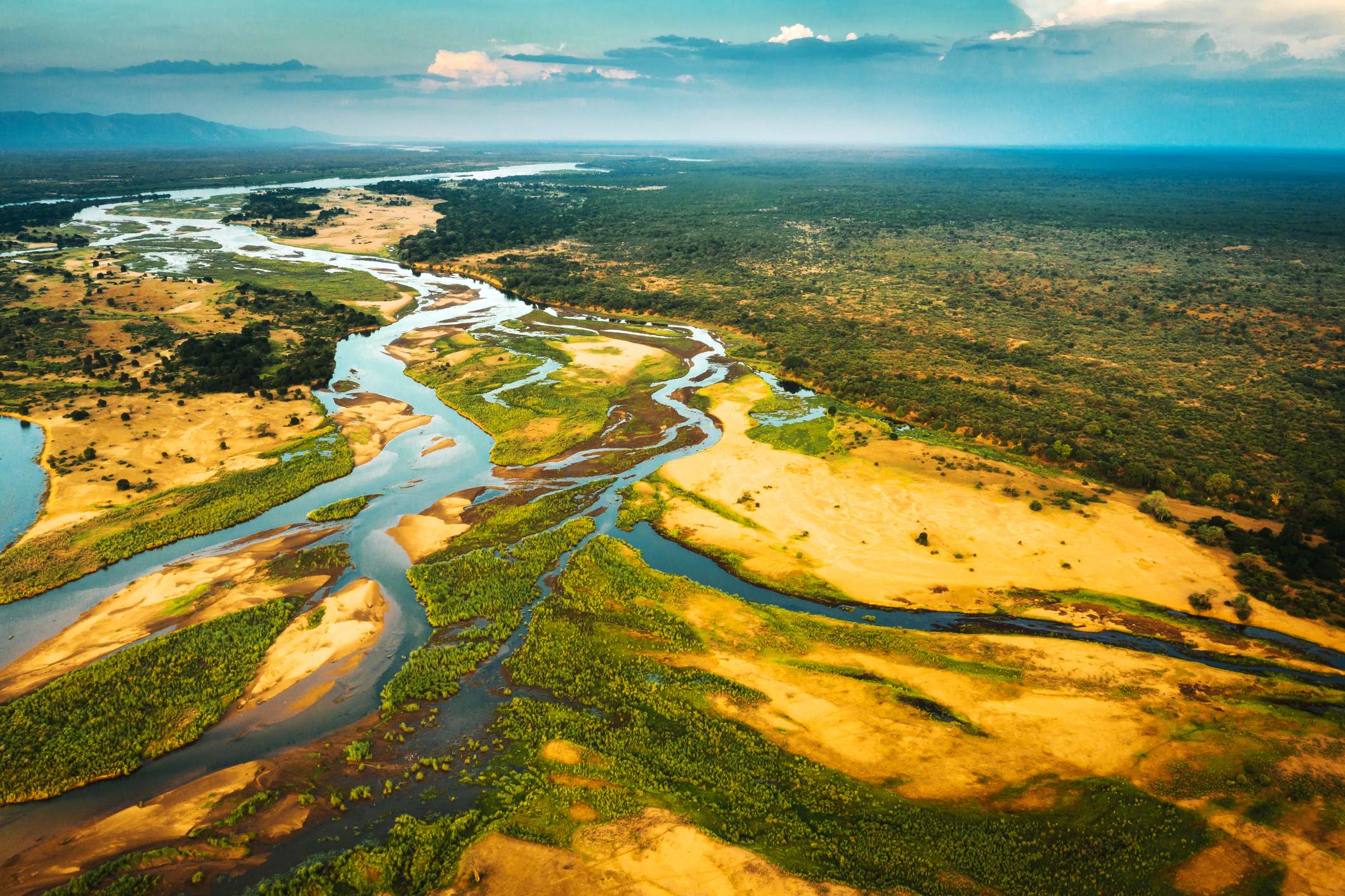 Aerial view of winding rivers through a green and golden landscape under a blue sky.