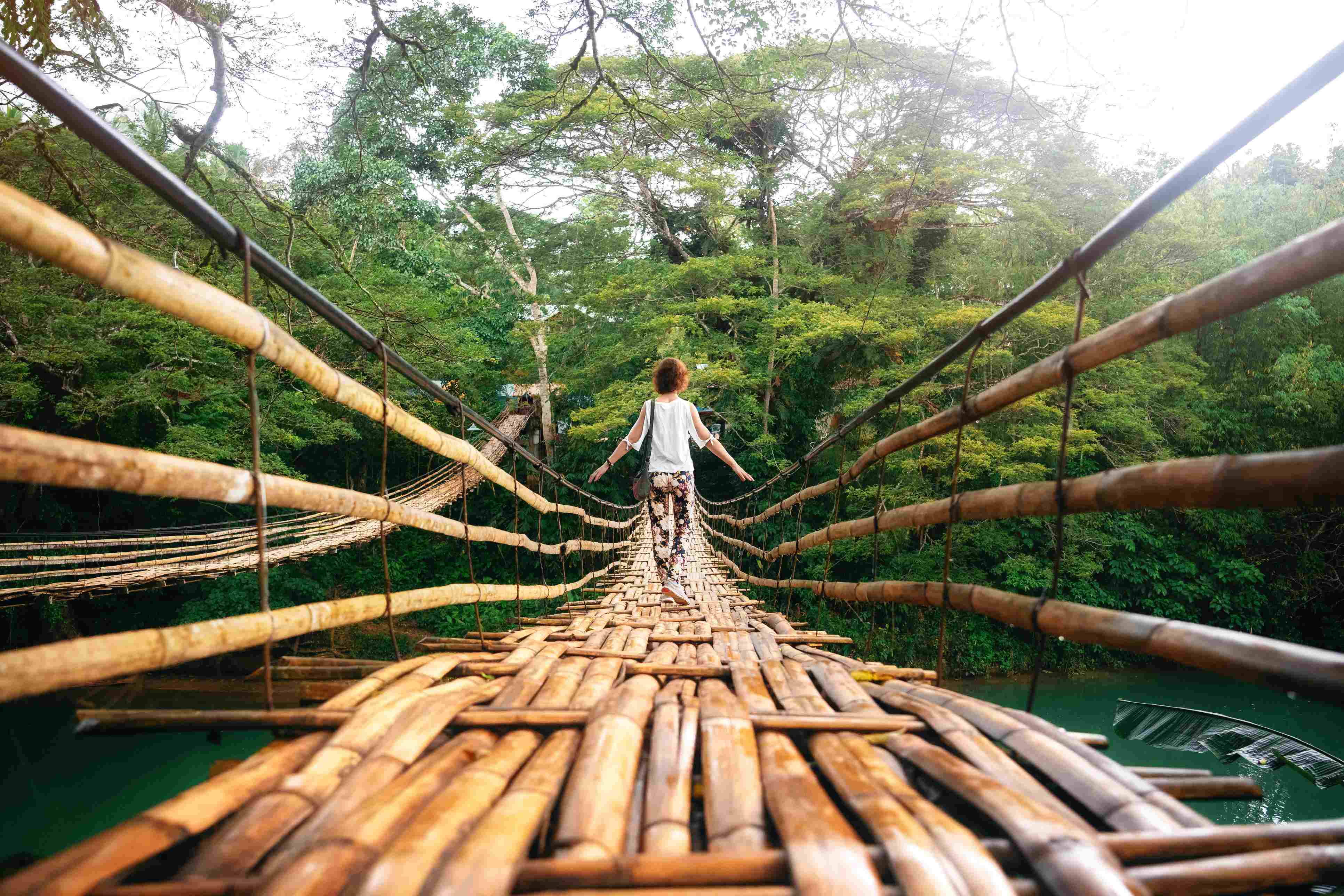 A child stands on a bamboo bridge surrounded by lush greenery, facing away from the camera.
