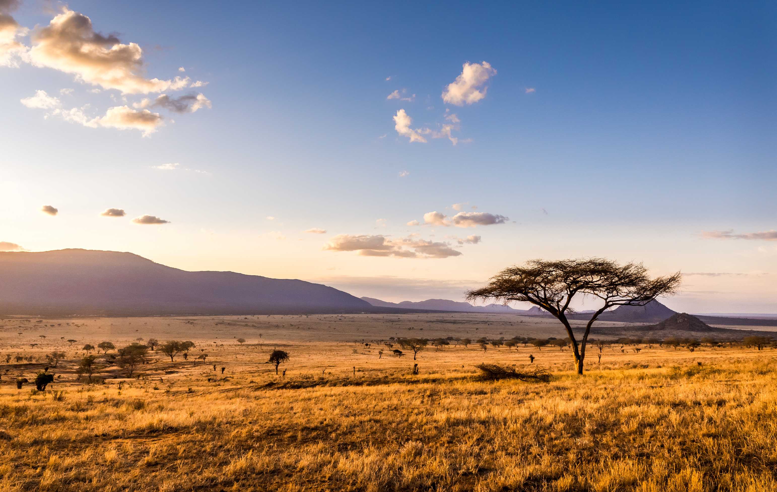 The classic view of Mt Kilimanjaro in Tanzania from the park