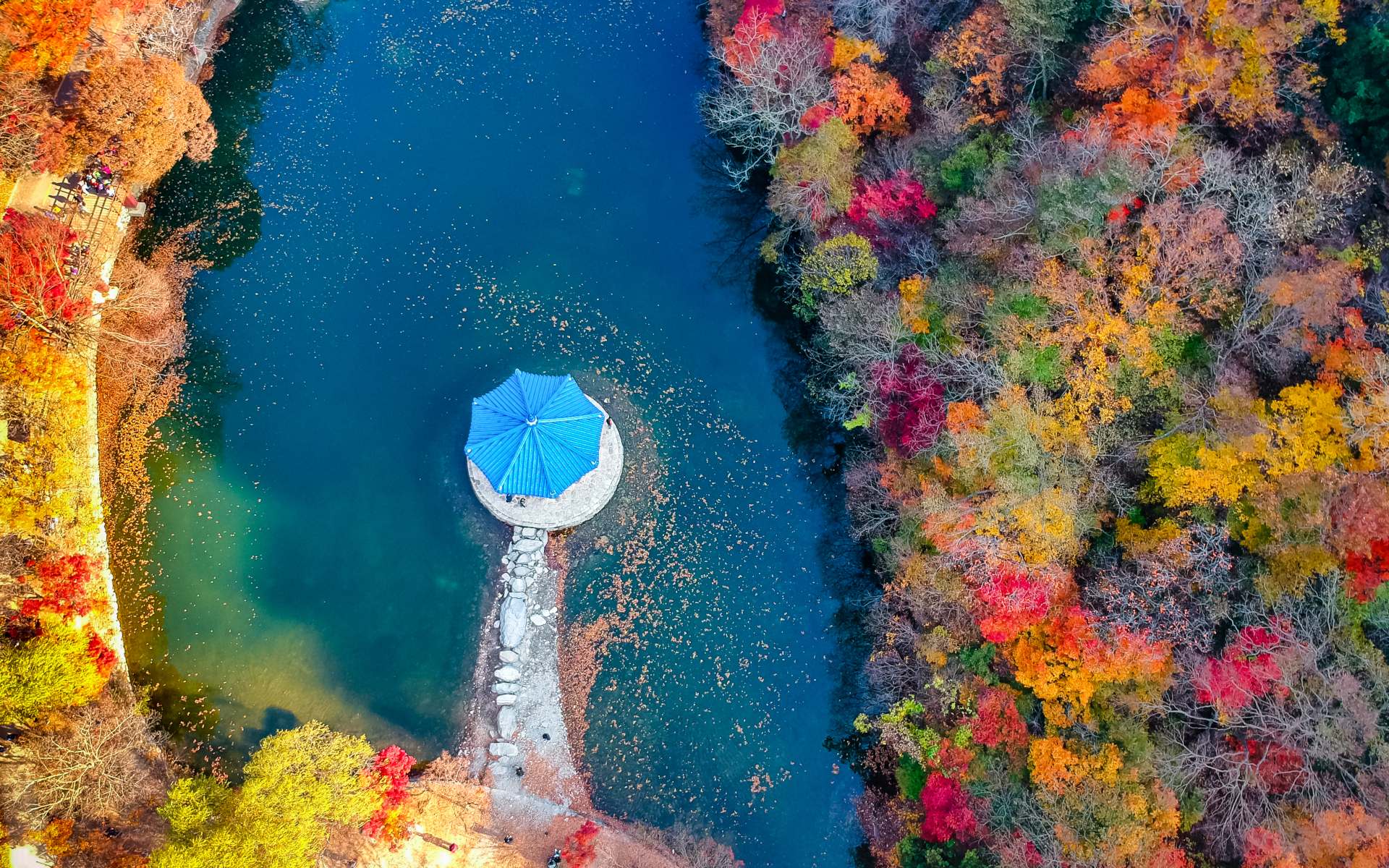 Naejangsan National Park Aerial view of Autumn season trees changing color at Naejangsang, South Korea