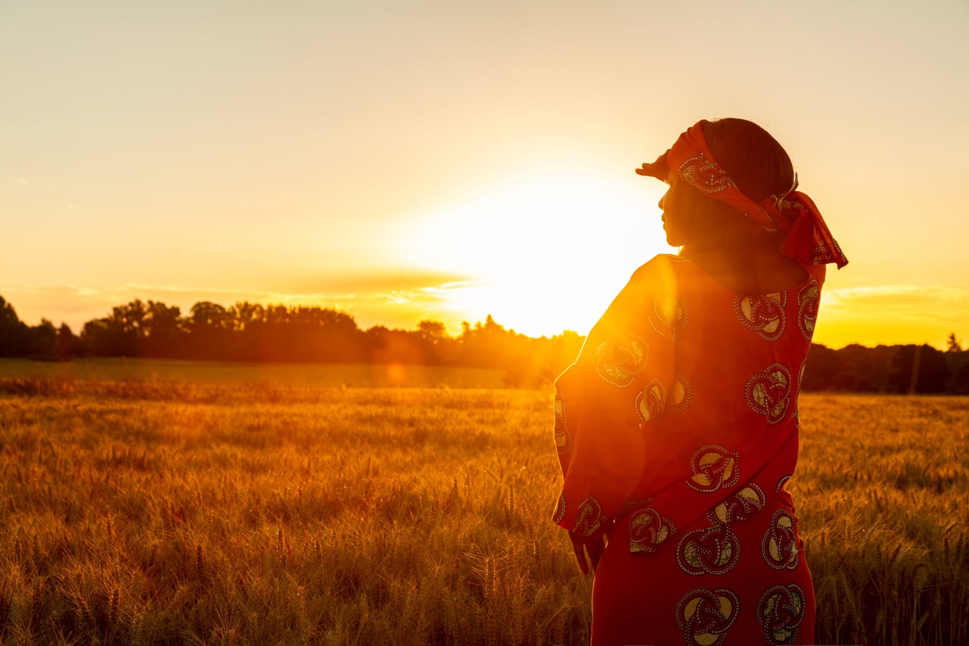 A silhouette of a person in a red outfit stands in a golden field at sunset, with trees in the background.