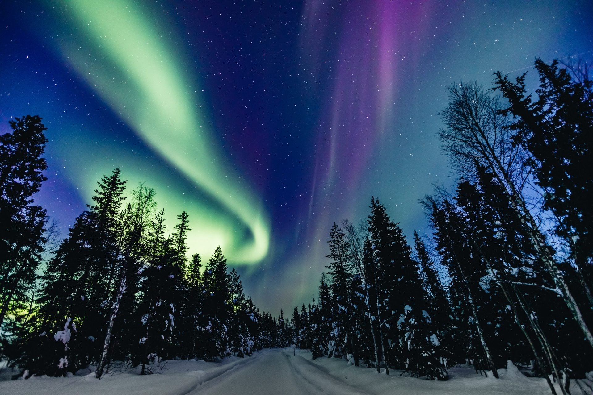 Colorful polar arctic Northern lights Aurora Borealis activity in snow winter forest in Finland, Lapland