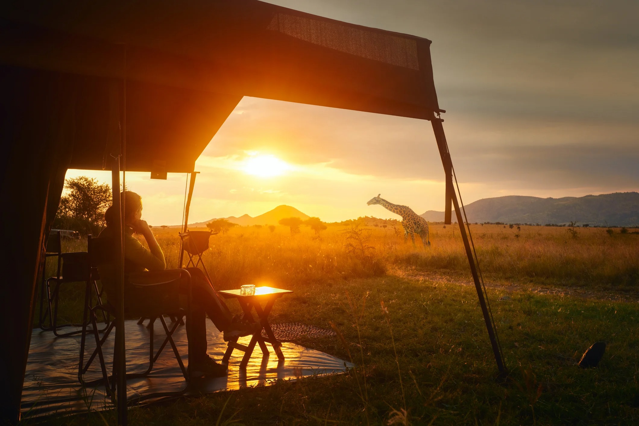 A person relaxes outside a tent at sunset, with a giraffe in the background amidst golden grasslands.