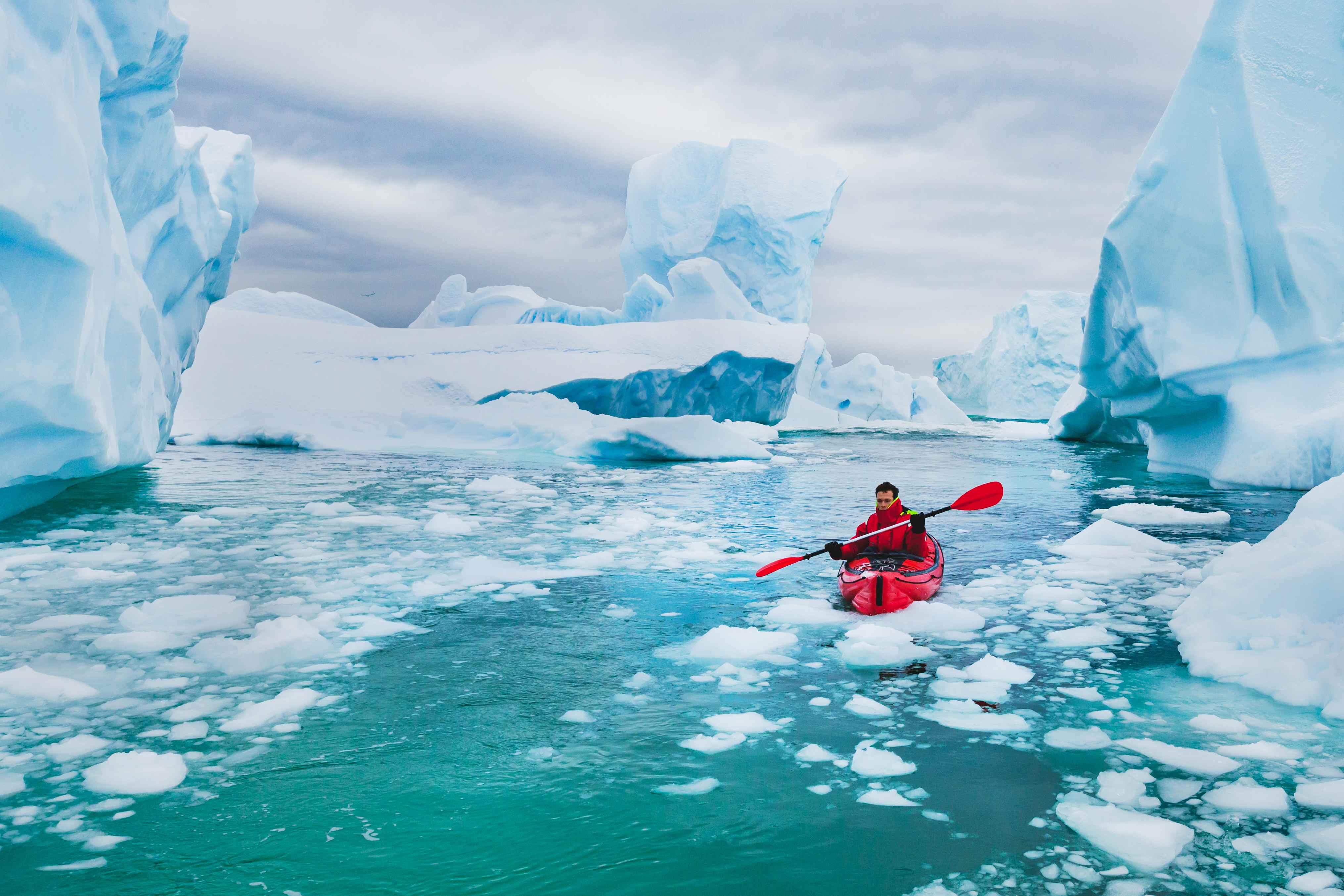 Extreme tourism, winter kayaking in Antarctica, adventurous man paddling on sea kayak between icebergs