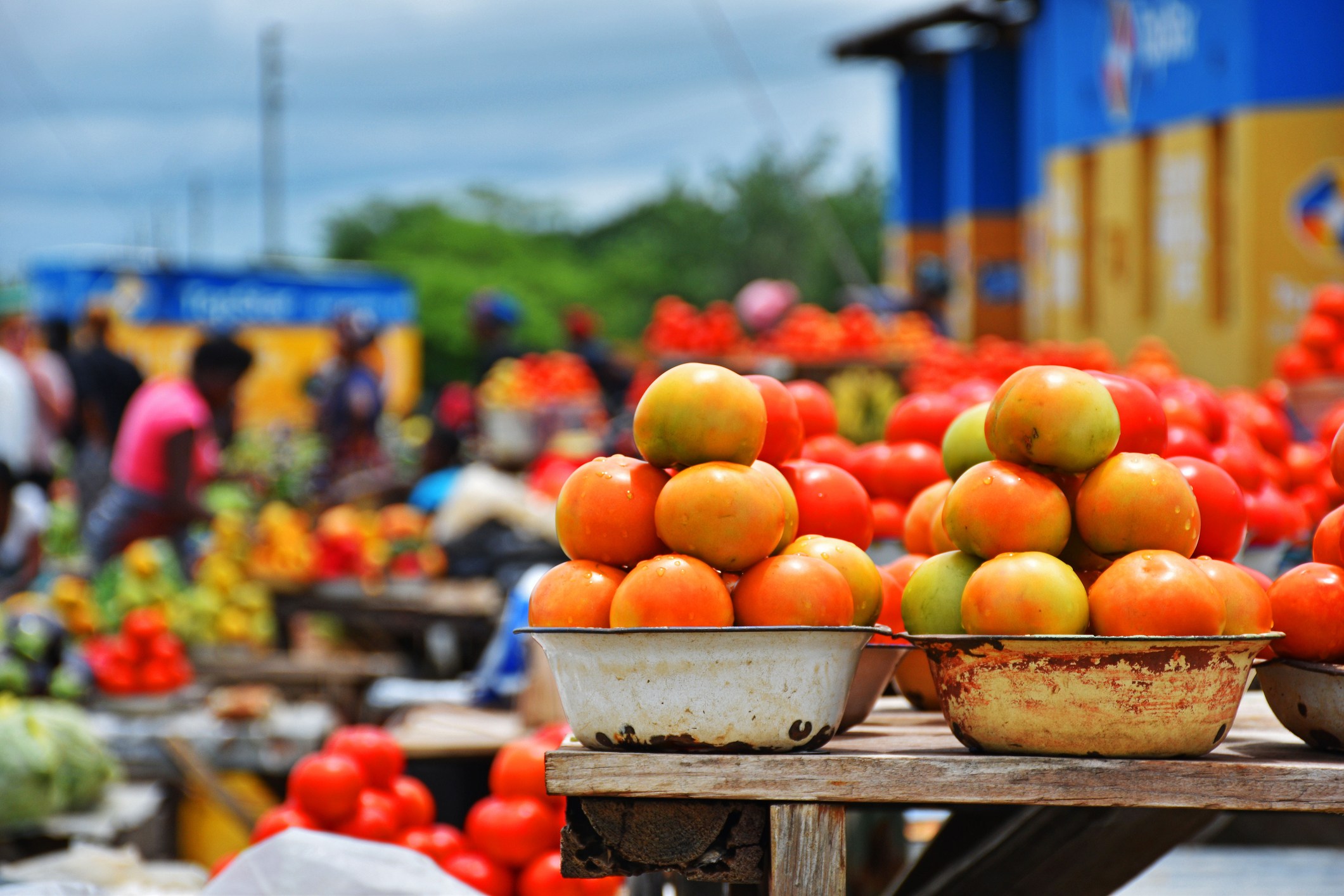 A bustling market scene with vibrant stacks of tomatoes and other fruits, set against a colorful backdrop.
