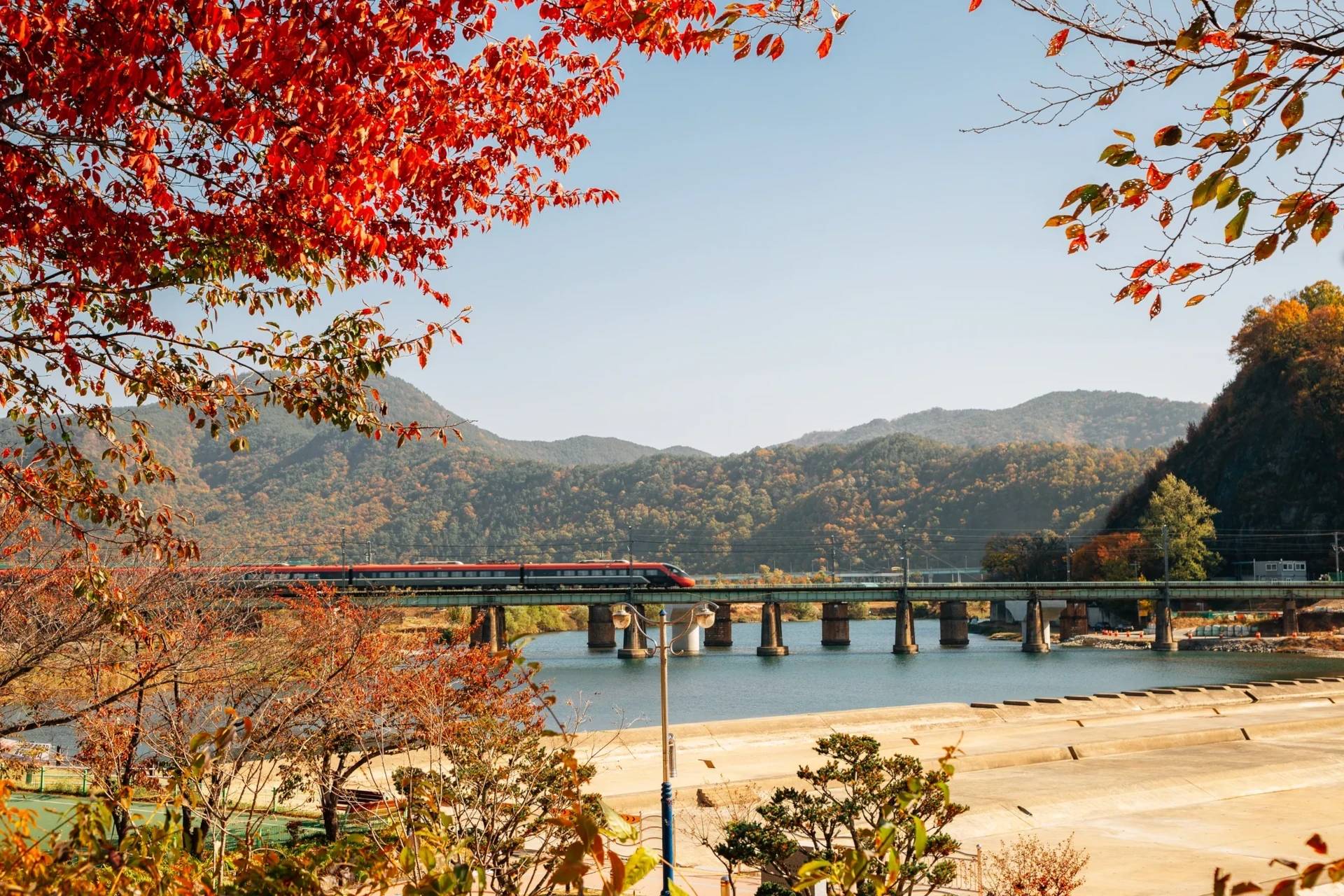 A train crosses a bridge over a river, surrounded by autumn foliage and mountains under a clear blue sky.