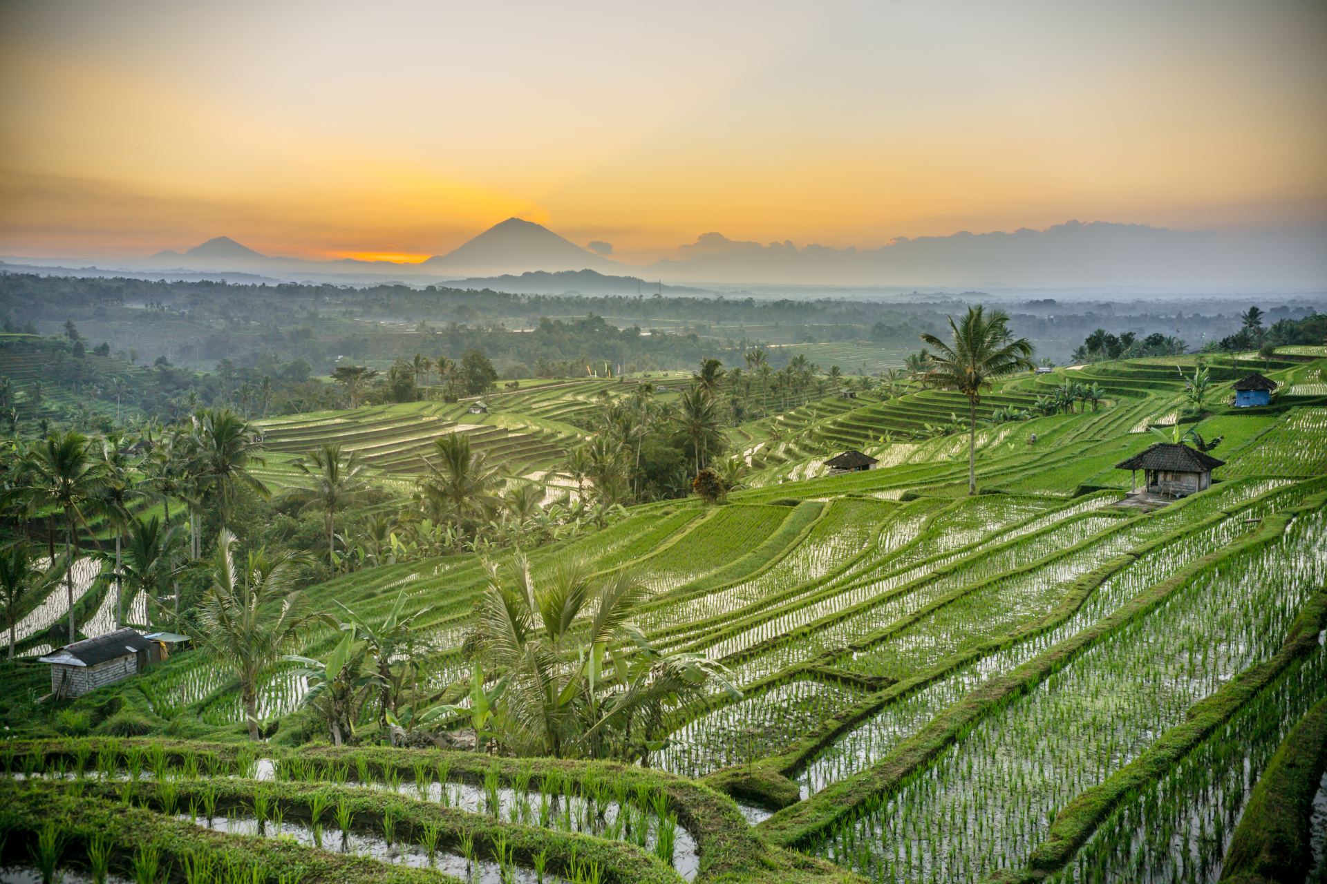 Sunrise at the Atiluwih Rice Terraces located at Tabanan North Bali