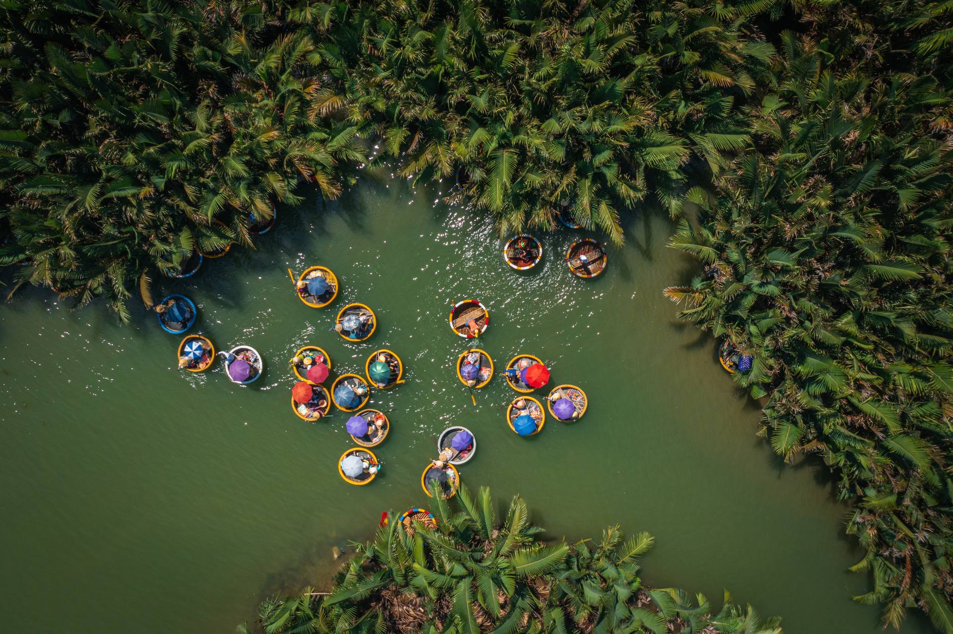 Bay Mau Nipa Coconut Forest Drone view Basket boat tour view in Bay Mau nipa palm jungle, Hoi An, Quang Nam province, central Vietnam