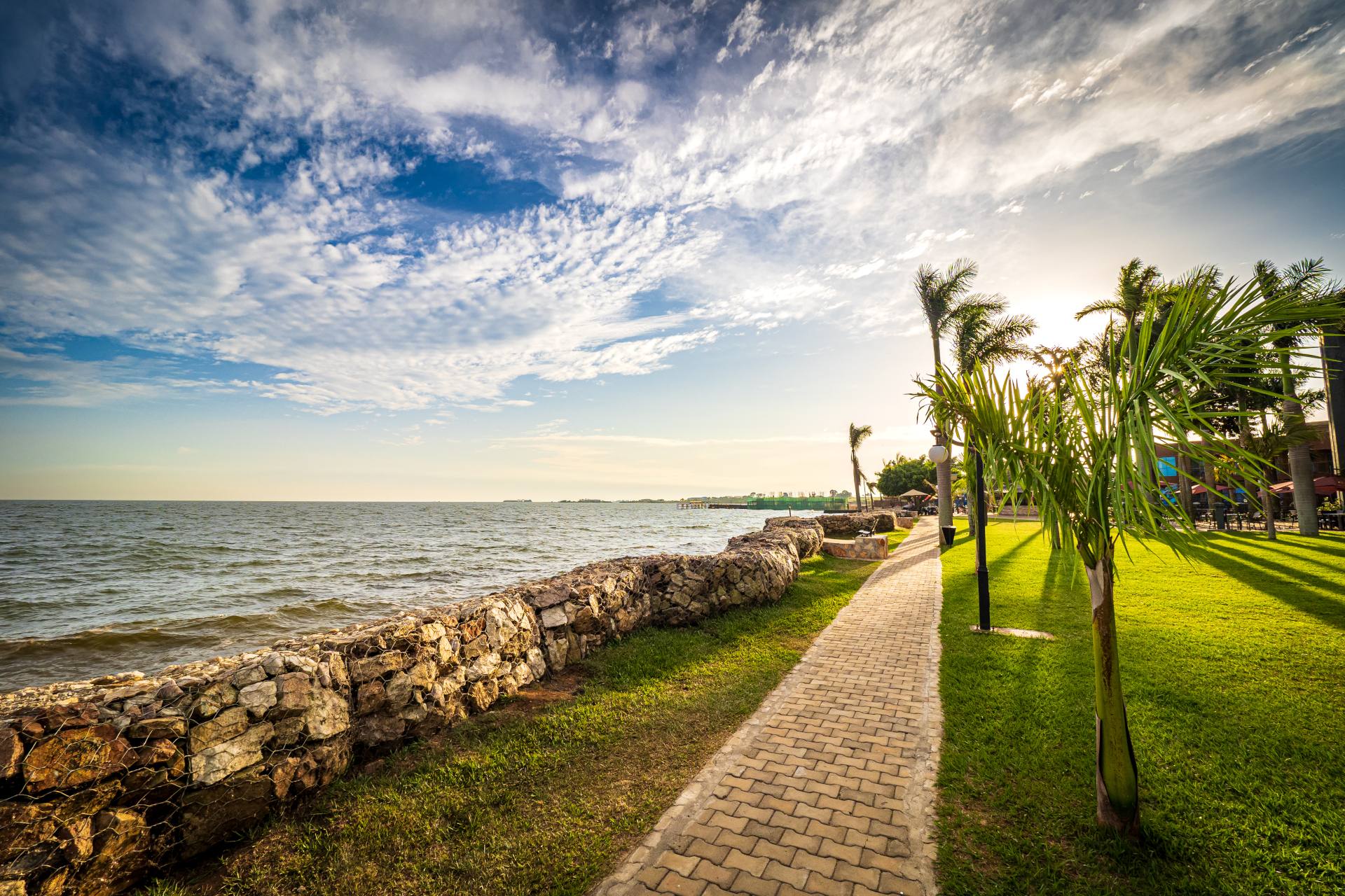 Sun setting behind tropical palm trees, drawing warm shadows on the meadow next to the shoreline of Lake Victoria. A pedestrian walkway leading the way along the shore