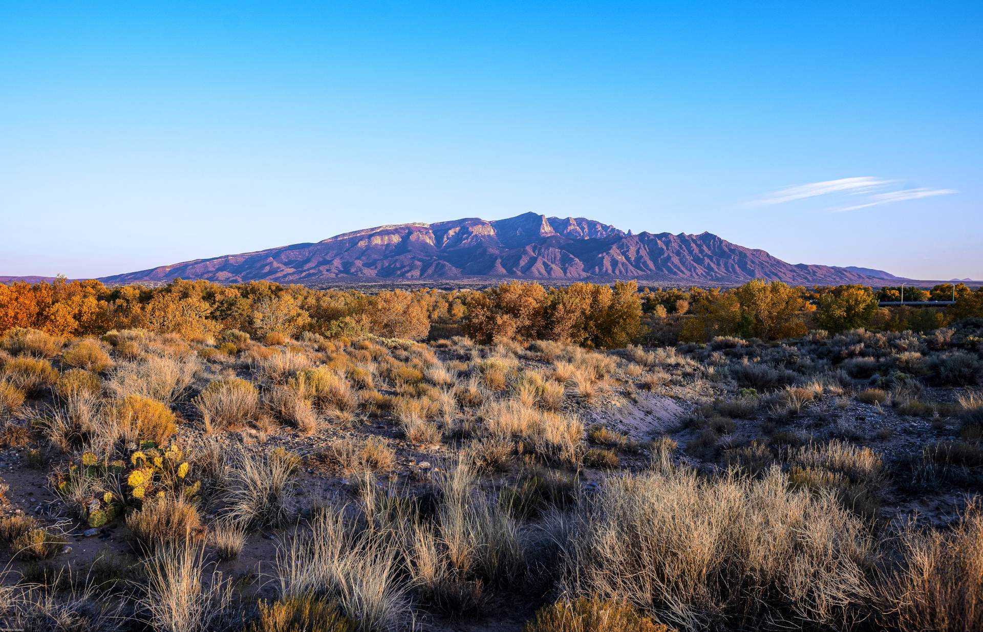 A view of the mountains is seen across a desert plain