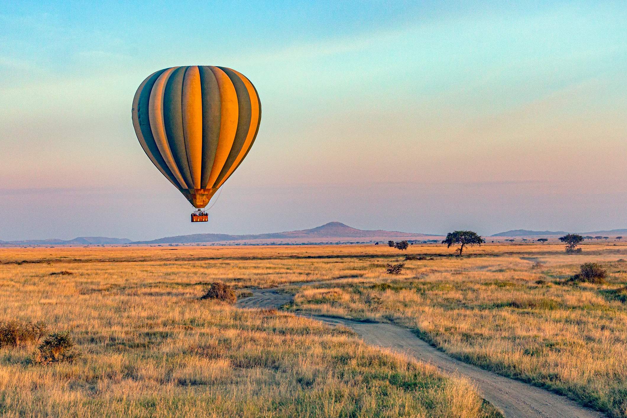 A colorful hot air balloon floats above a vast, grassy landscape under a clear sky. A dirt path winds through the field.