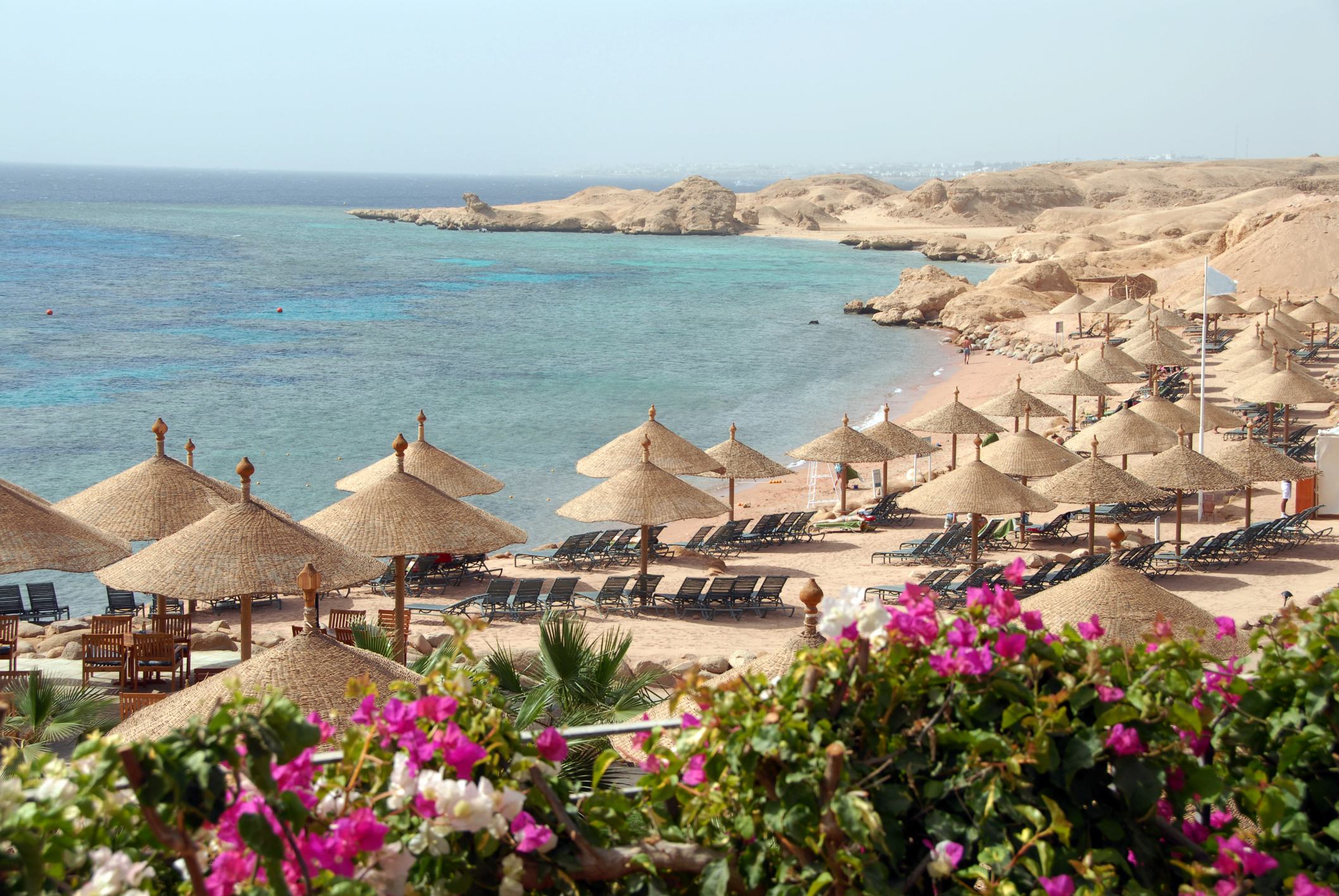Tropical beach view with umbrellas, lounge chairs, clear water, and rocky shore, framed by colorful flowers in the foreground.
