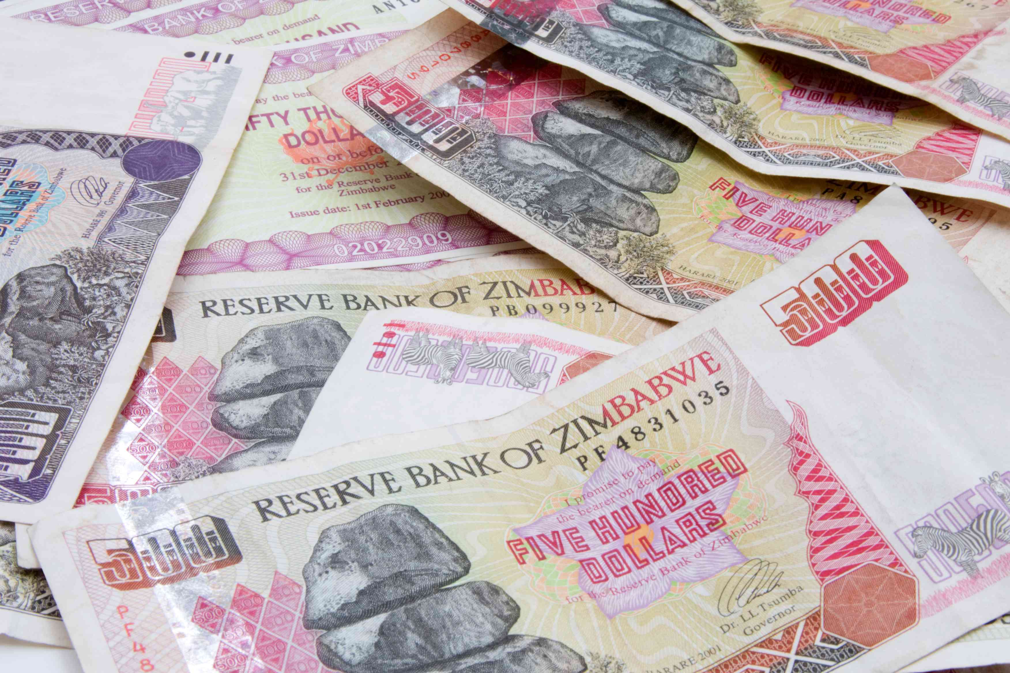 A close-up of various Zimbabwean banknotes, including a prominent five hundred dollar note, arranged on a flat surface.