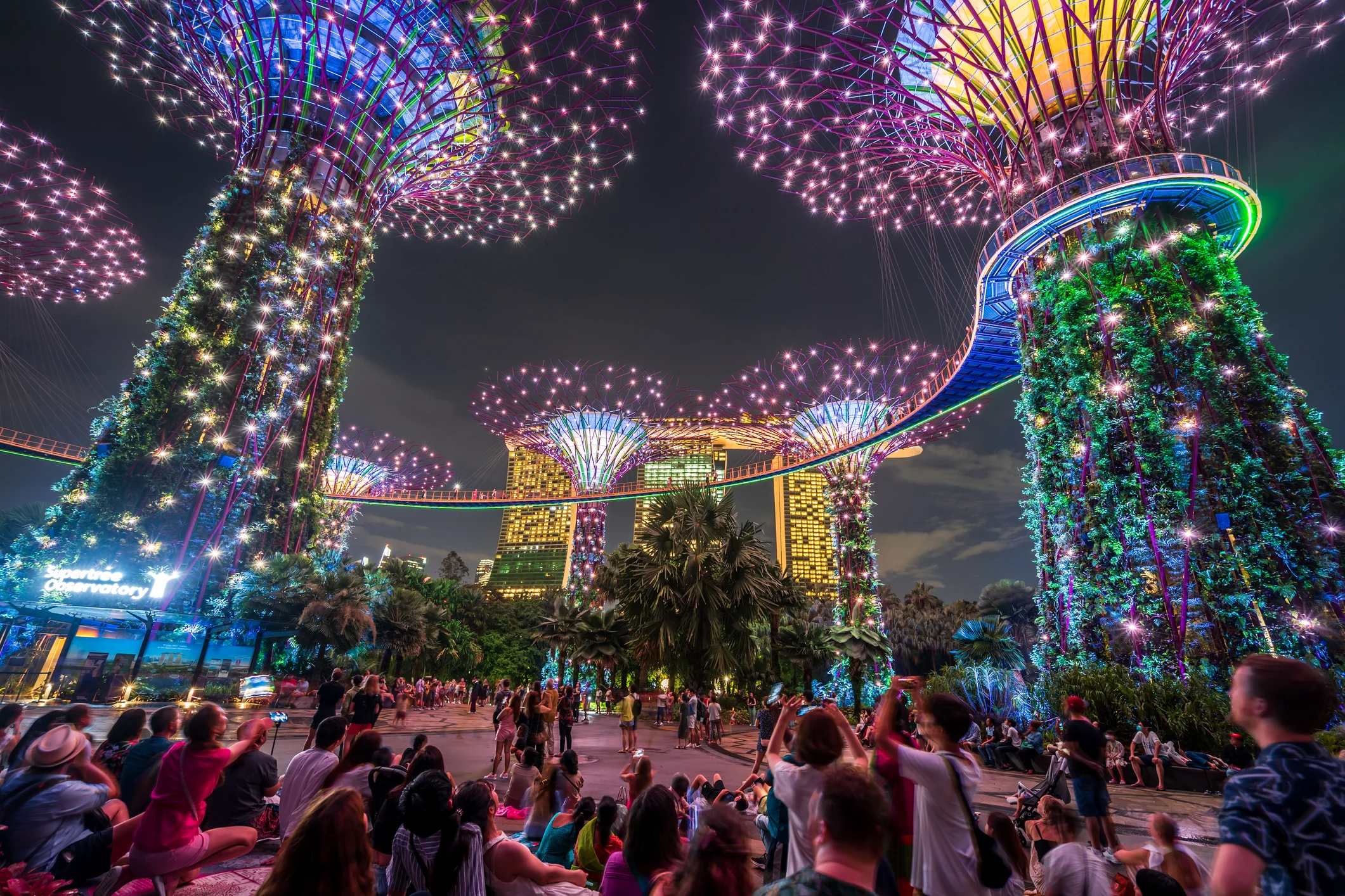 Illuminated Supertree Grove in Singapore at night, with a crowd enjoying the vibrant light display among lush greenery.