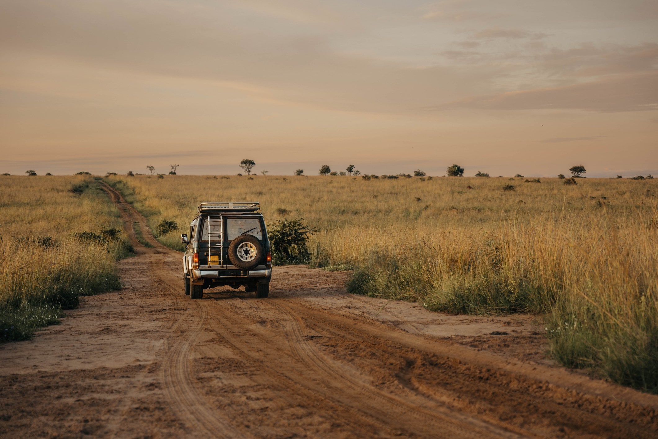 A four-wheel drive vehicle on a dirt path in a grassy savanna at sunset.