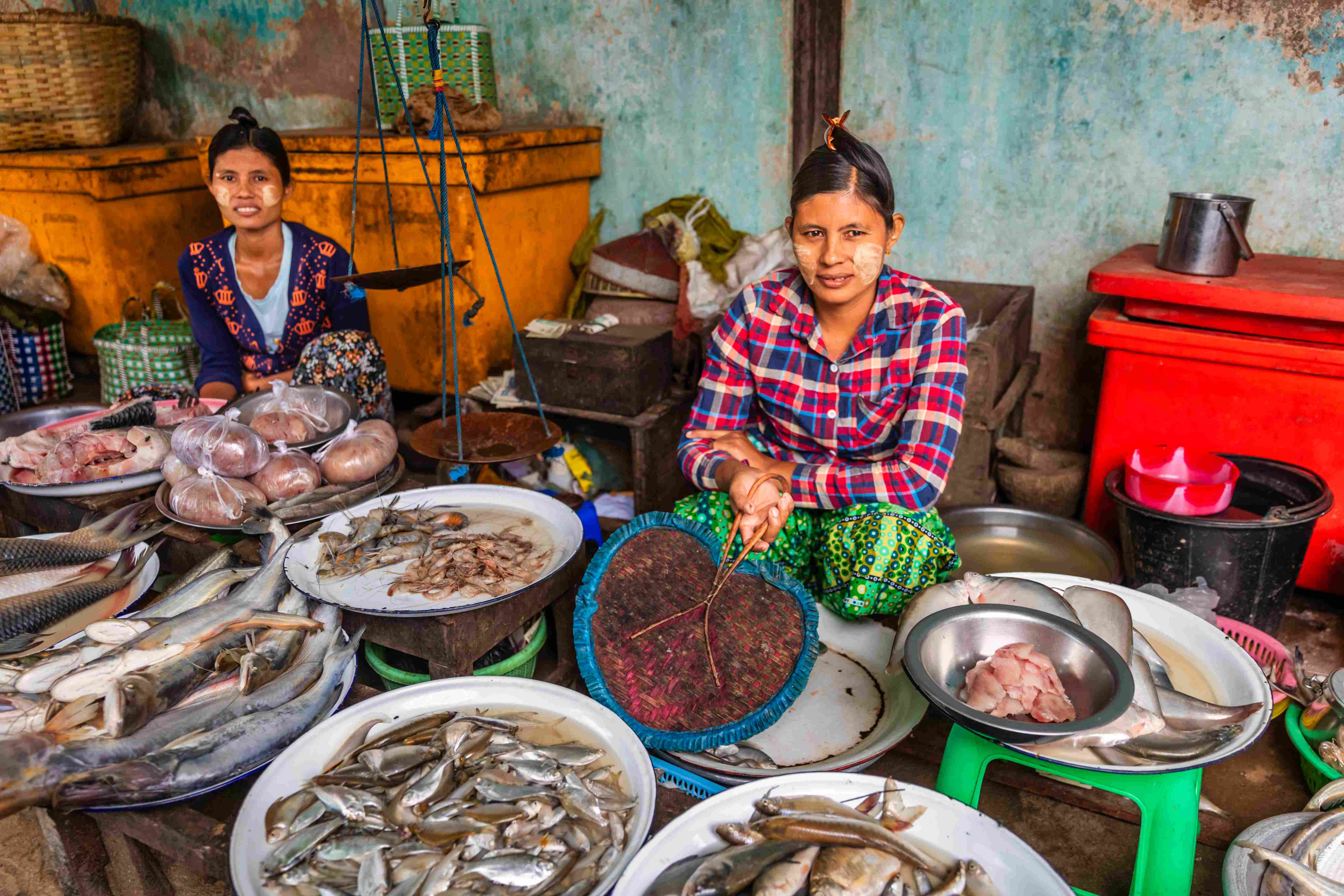 Two women sit behind tables filled with various types of fresh fish in a market setting.