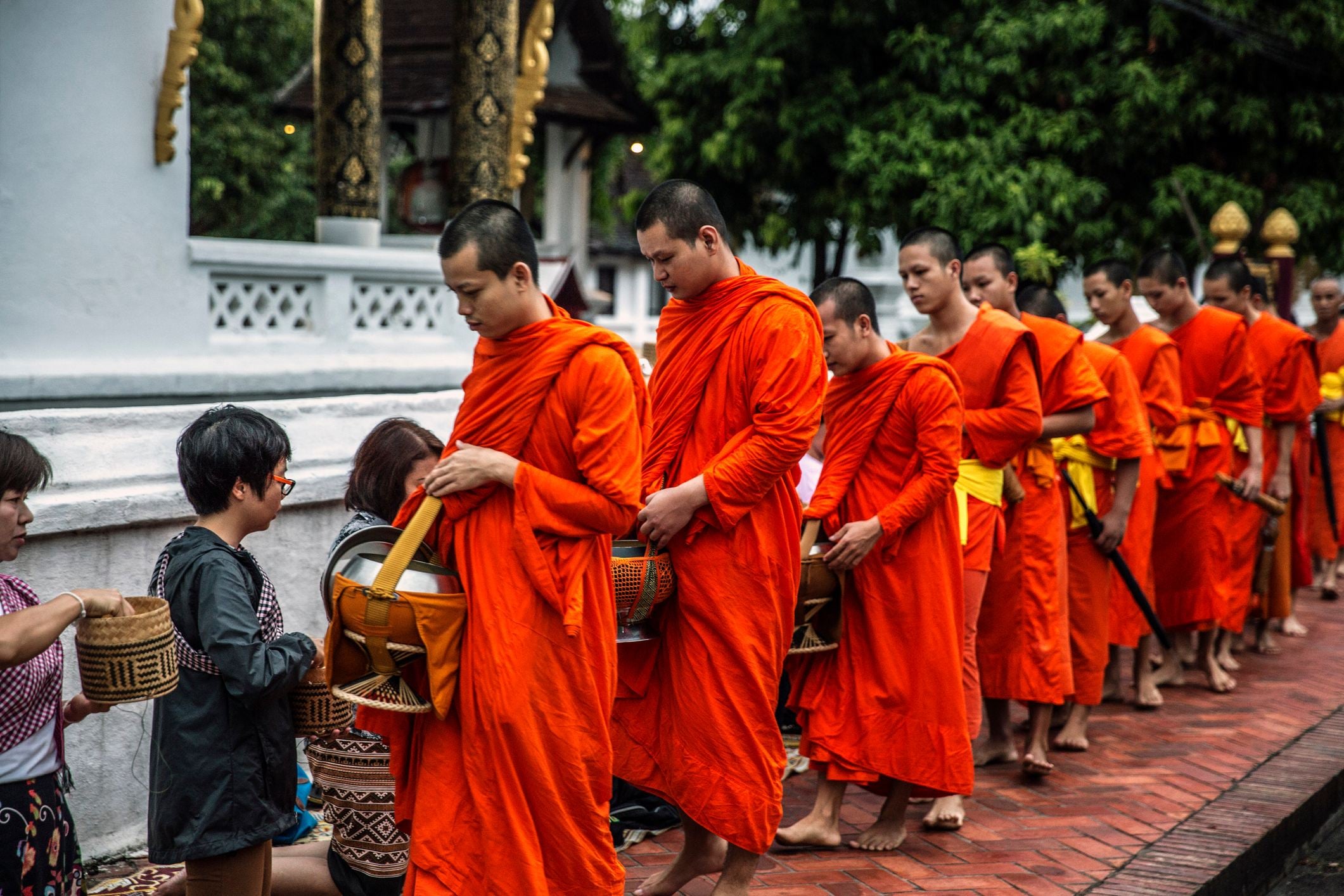 Buddhist monks in orange robes receive alms from followers in a serene outdoor setting.