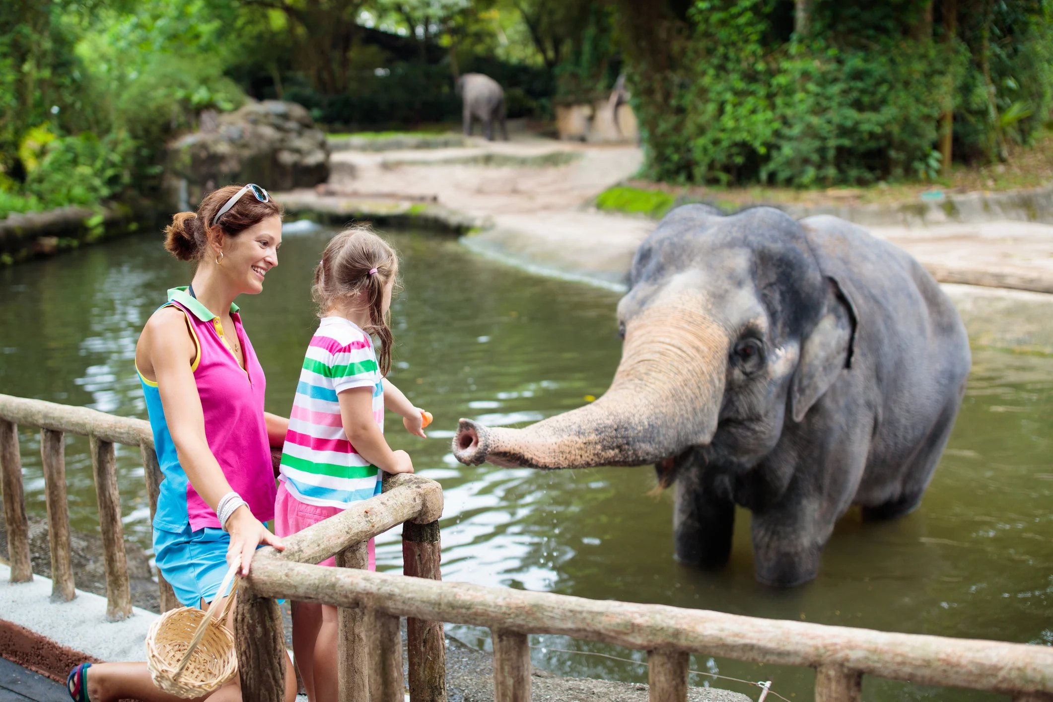A mother and daughter watch an elephant reaching toward them at a zoo, with lush greenery in the background.