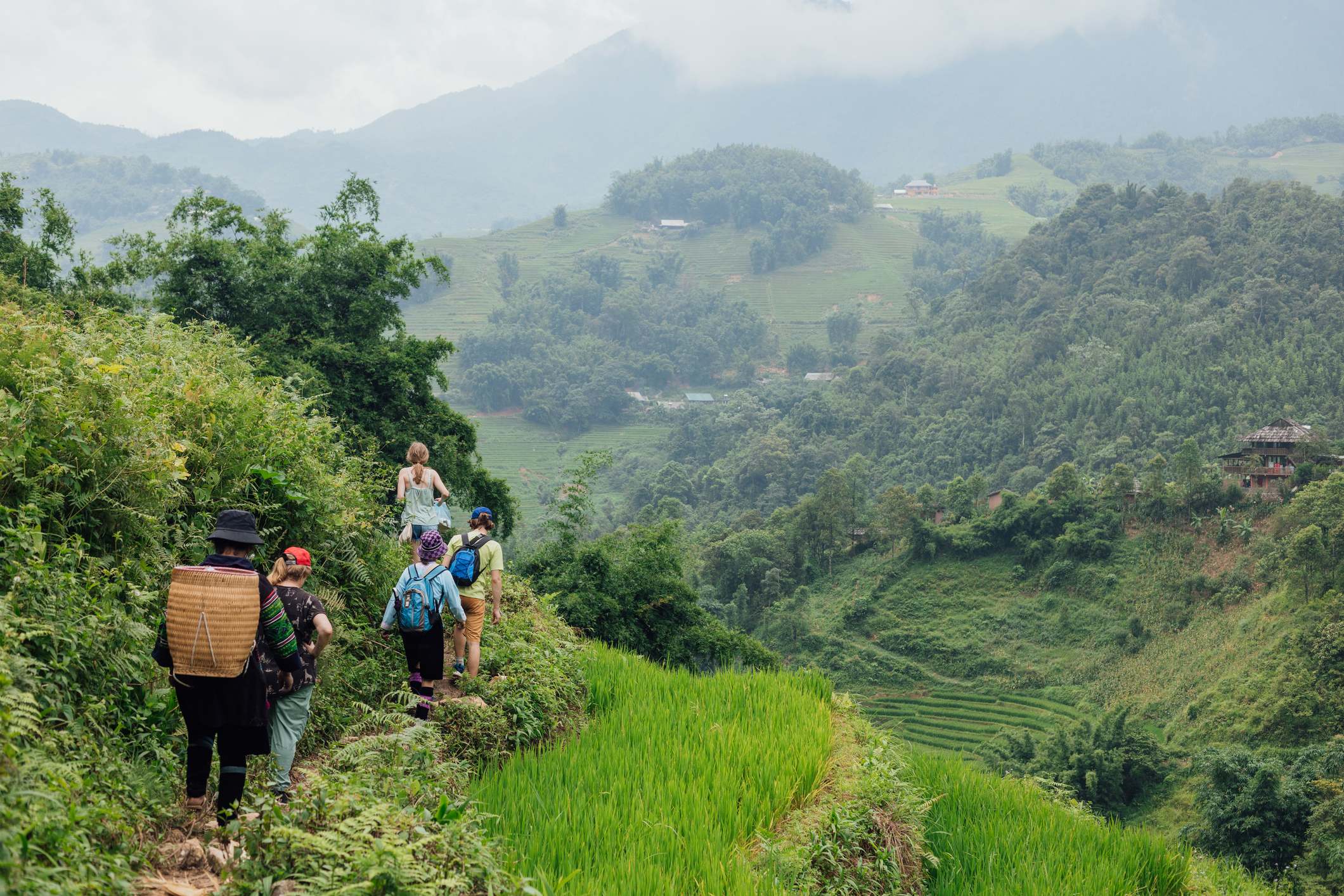Group of hikers walking along a narrow path through lush green rice terraces with mountains in the background.
