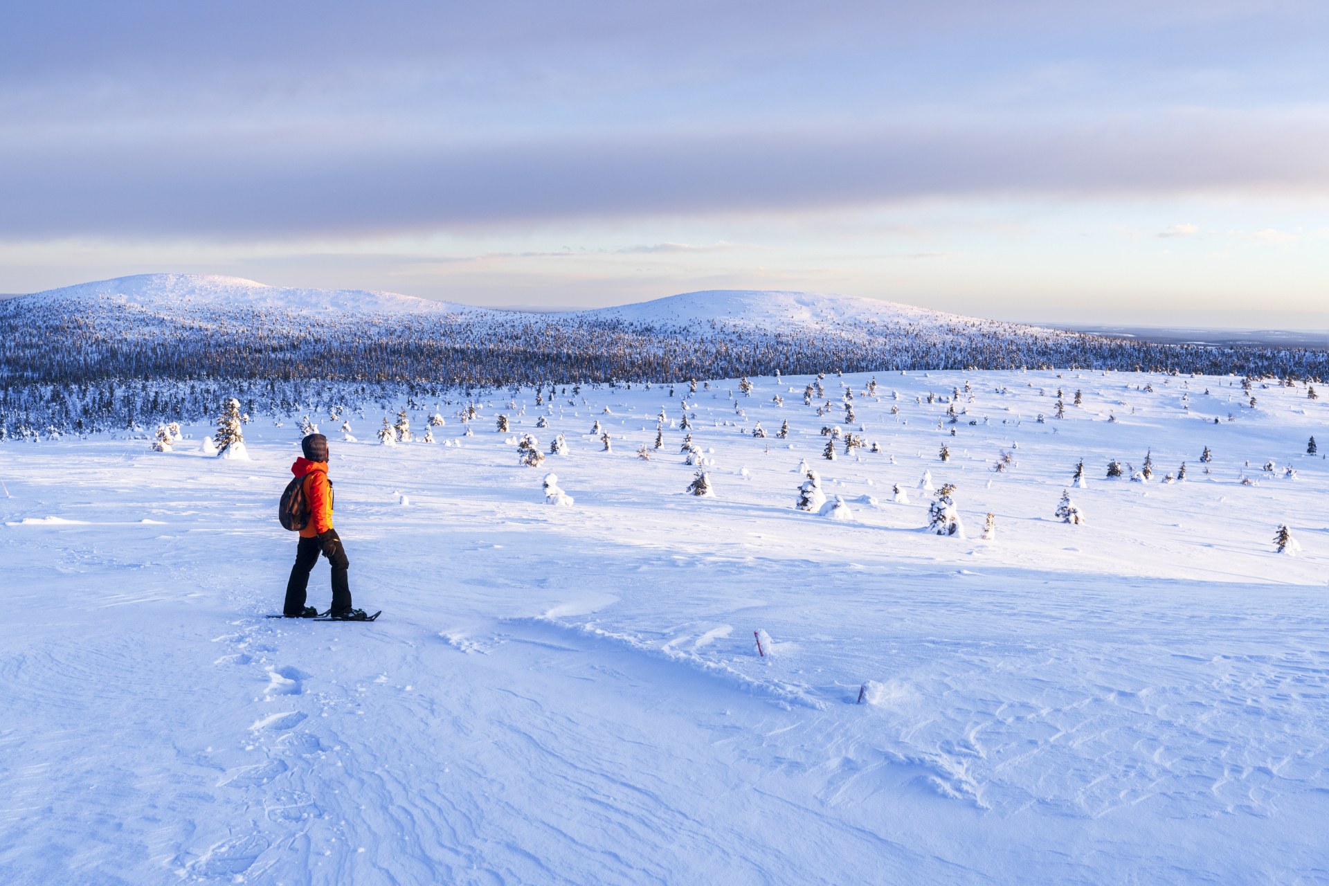 A lone person in an orange jacket snowshoes across a snowy landscape with distant hills and scattered, snow-covered trees.